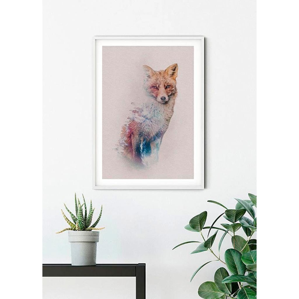 Komar Poster »Animals Forest Fox«, Tiere, Höhe: 40cm