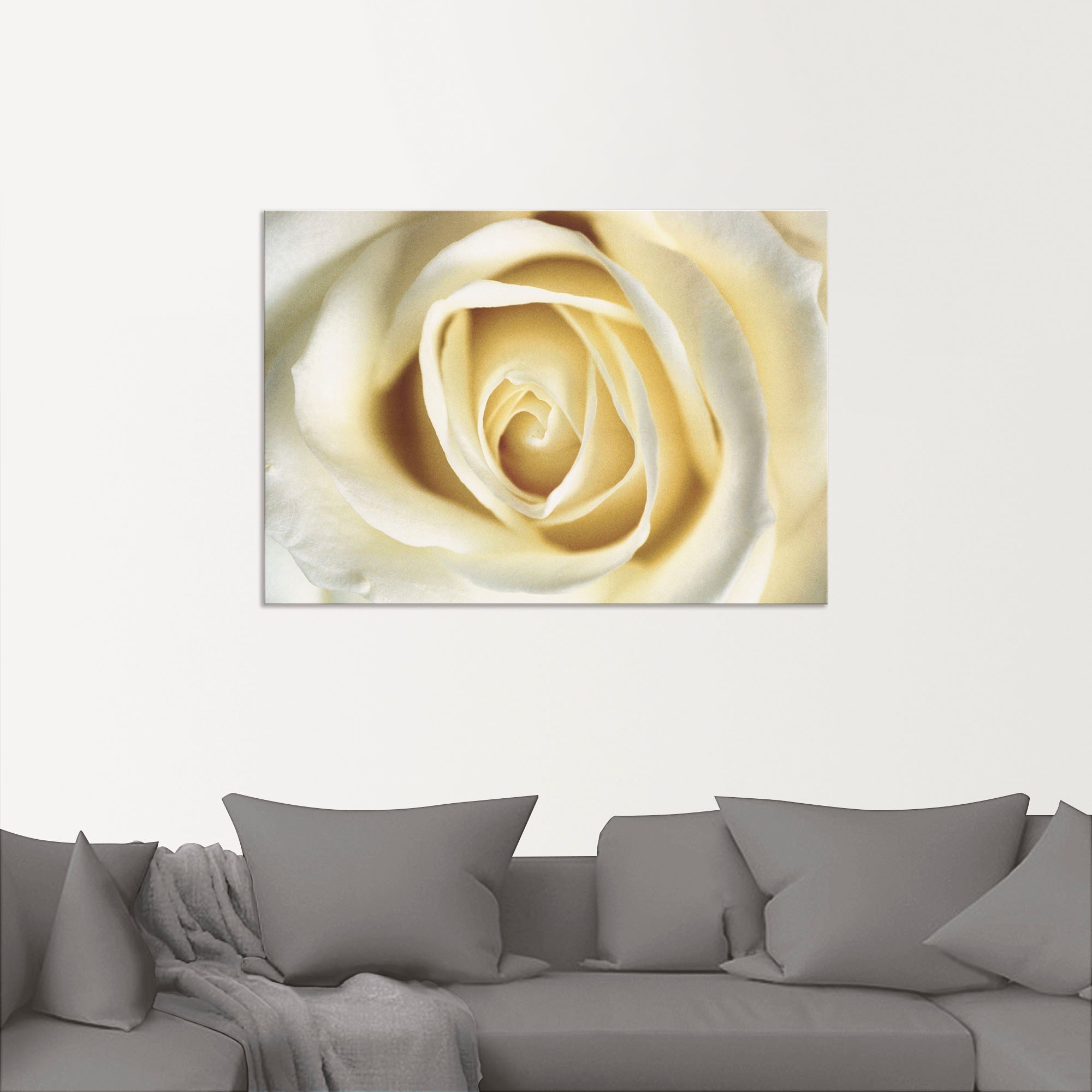 Artland Wandbild »Weiße Rose«, Blumen, (1 St.), als Alubild, Outdoorbild, Leinwandbild in verschied. Größen