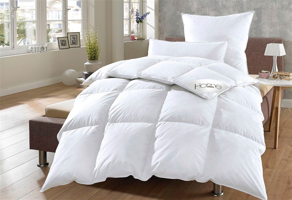 Home Affaire Daunenbettdecke + Kopfkissen »Köniz in weiß, Größe B/L: 80 cm x 80 cm Anzahl Teile 1