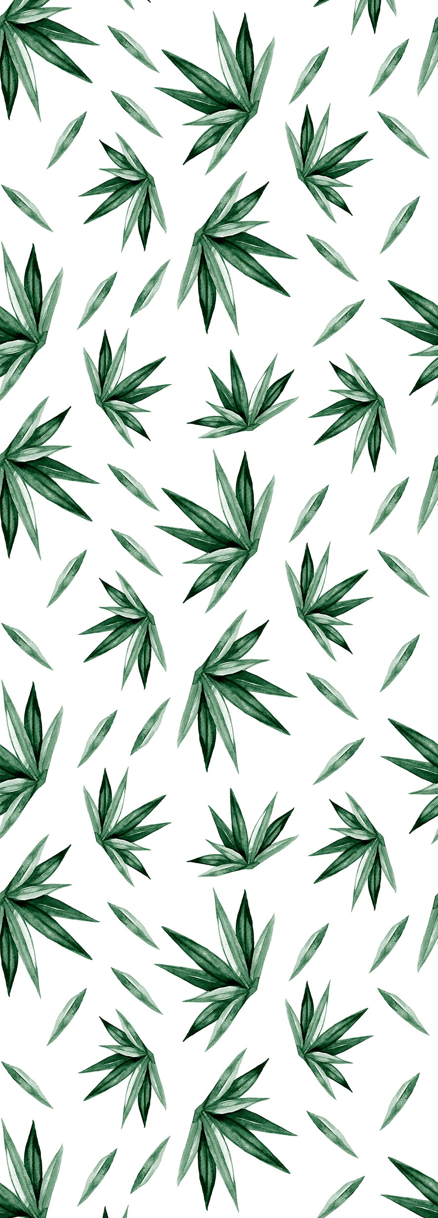 Vinyltapete »Tropische Blätter-Grün«, botanisch, 90 x 250 cm, selbstklebend