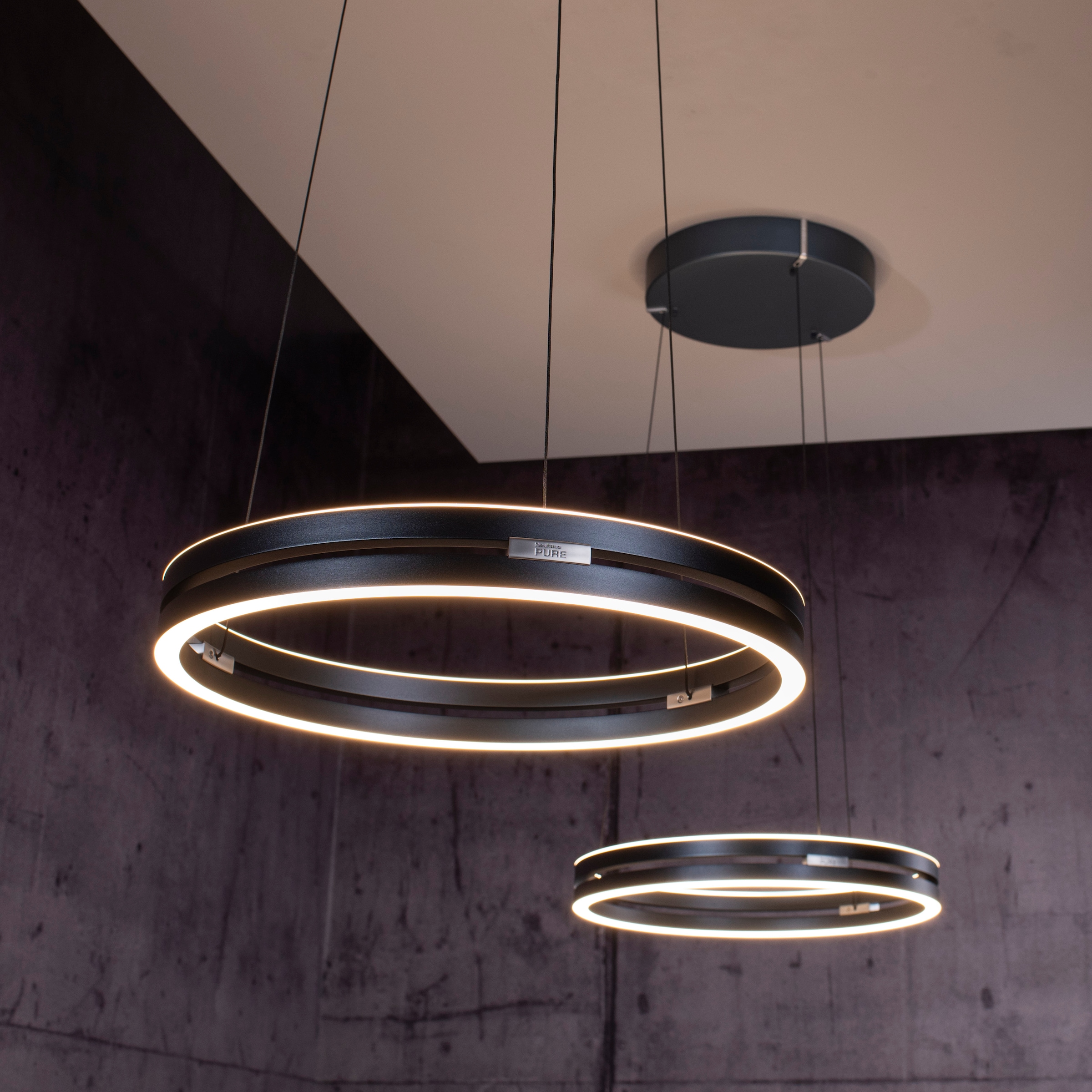 Neuhaus PURE LED Pendelleuchte »PURE E-Loop« LED-Board 1 Stk. warmweiß - kaltweiß e-LIFT® Funktion, CCT, dimmbar über Fernbedienung