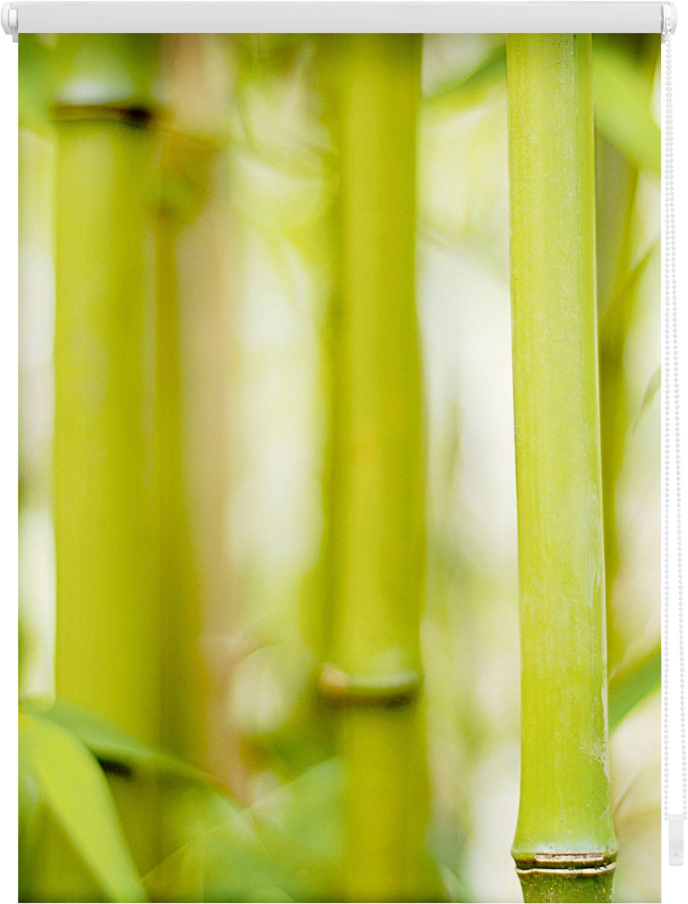 Seitenzugrollo »Klemmfix Motiv Bambus«, Lichtschutz, ohne Bohren, freihängend, bedruckt