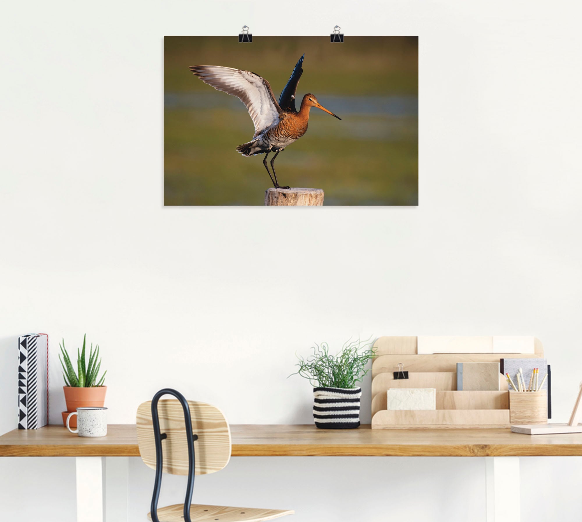 Artland Poster »Uferschnepfe im Landeanflug«, Vogelbilder, (1 St.), als Alubild, Leinwandbild, Wandaufkleber oder Poster in versch. Größen
