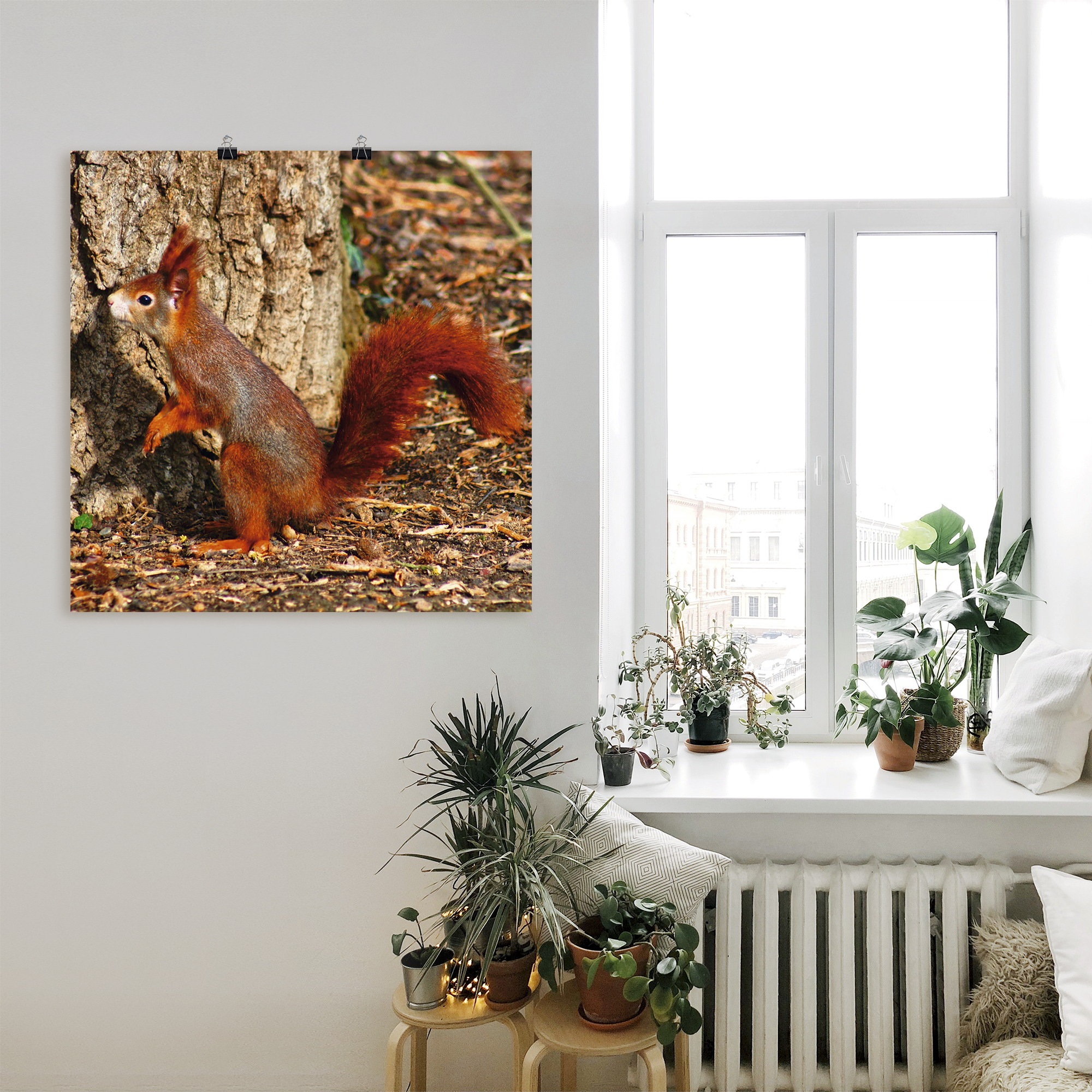Artland Wandbild »Rotes Eichhörnchen will hoch hinaus«, Wildtiere, (1 St.), als Poster, Wandaufkleber in verschied. Größen