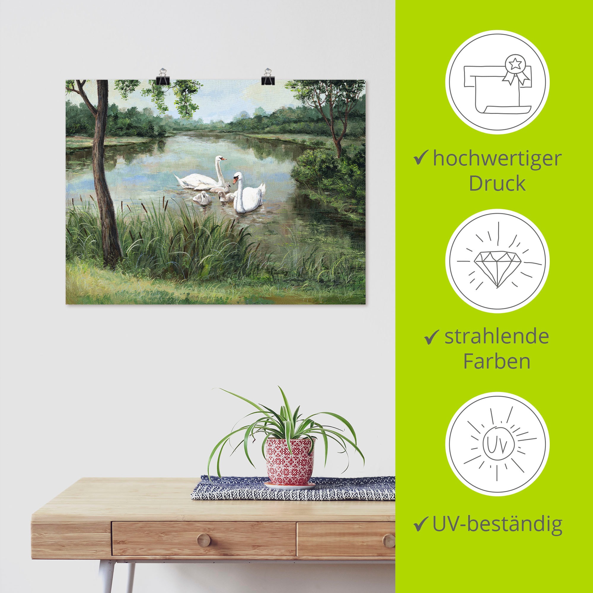Artland Wandbild »Schwäne«, Vögel, (1 St.), als Alubild, Outdoorbild, Leinwandbild, Poster in verschied. Größen