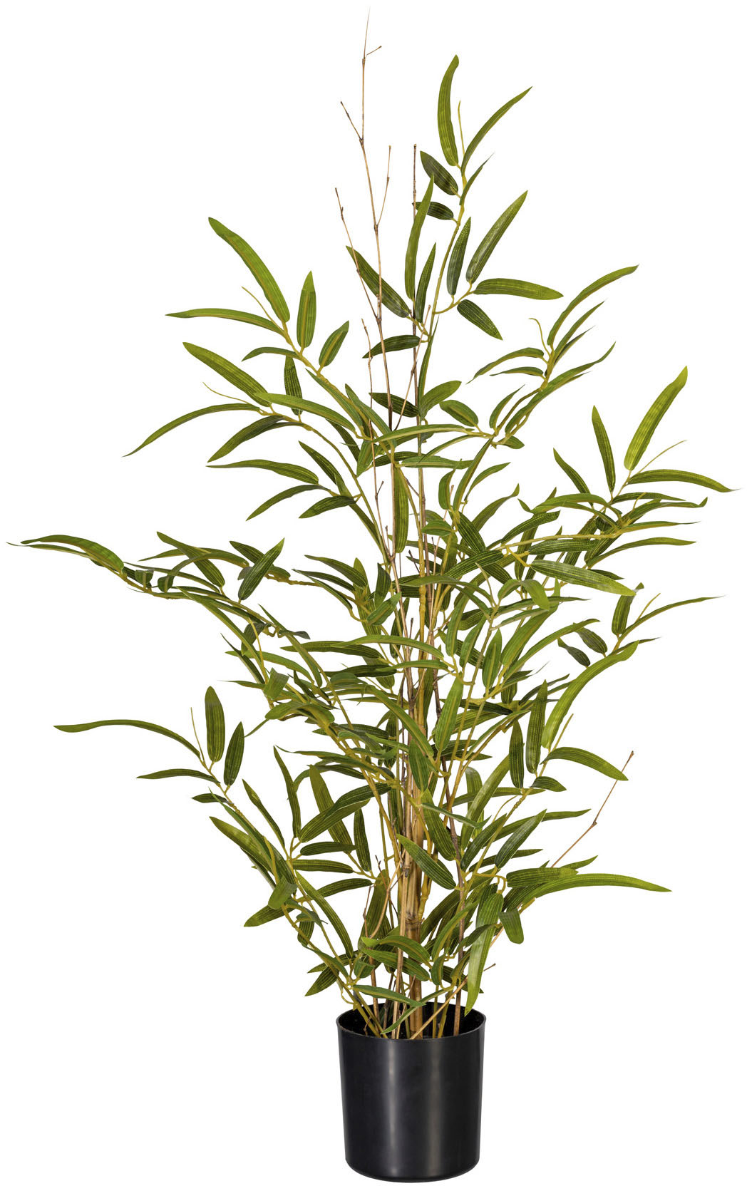 Creativ green Künstliche Zimmerpflanze »Bambus«, (1 St.) bestellen im OTTO  Online Shop