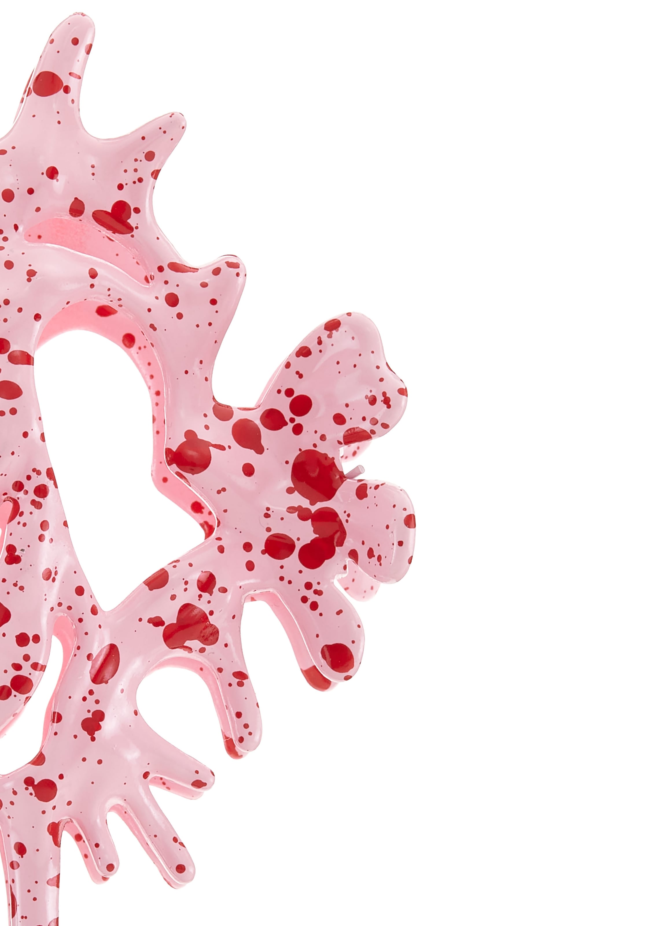 LSCN by LASCANA Haarspange im besonderen Muschel-Design