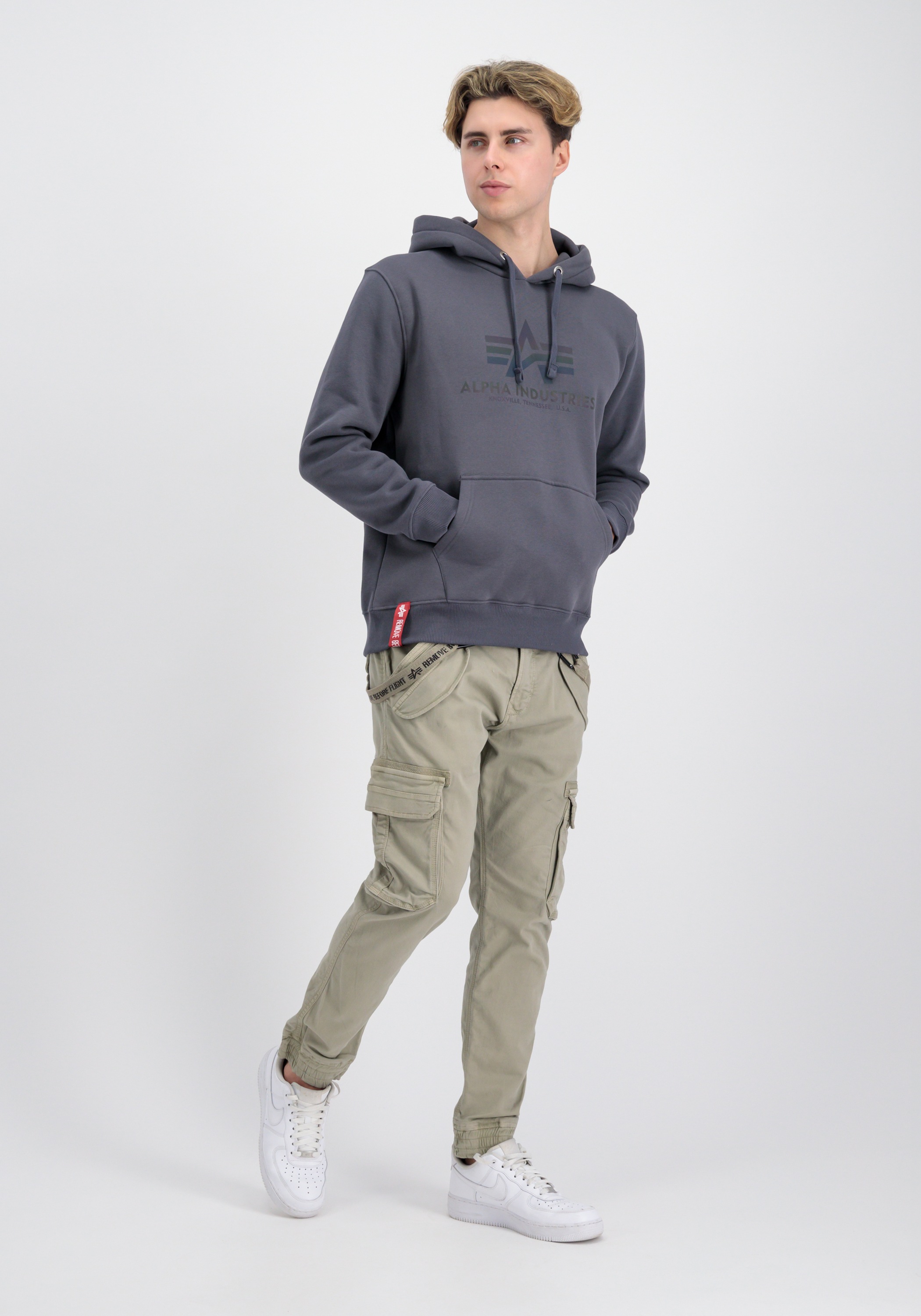 Alpha Industries Hoodie »Basic Hoodie BL Rainbow Refl. Print Kapuzensweatshirt«