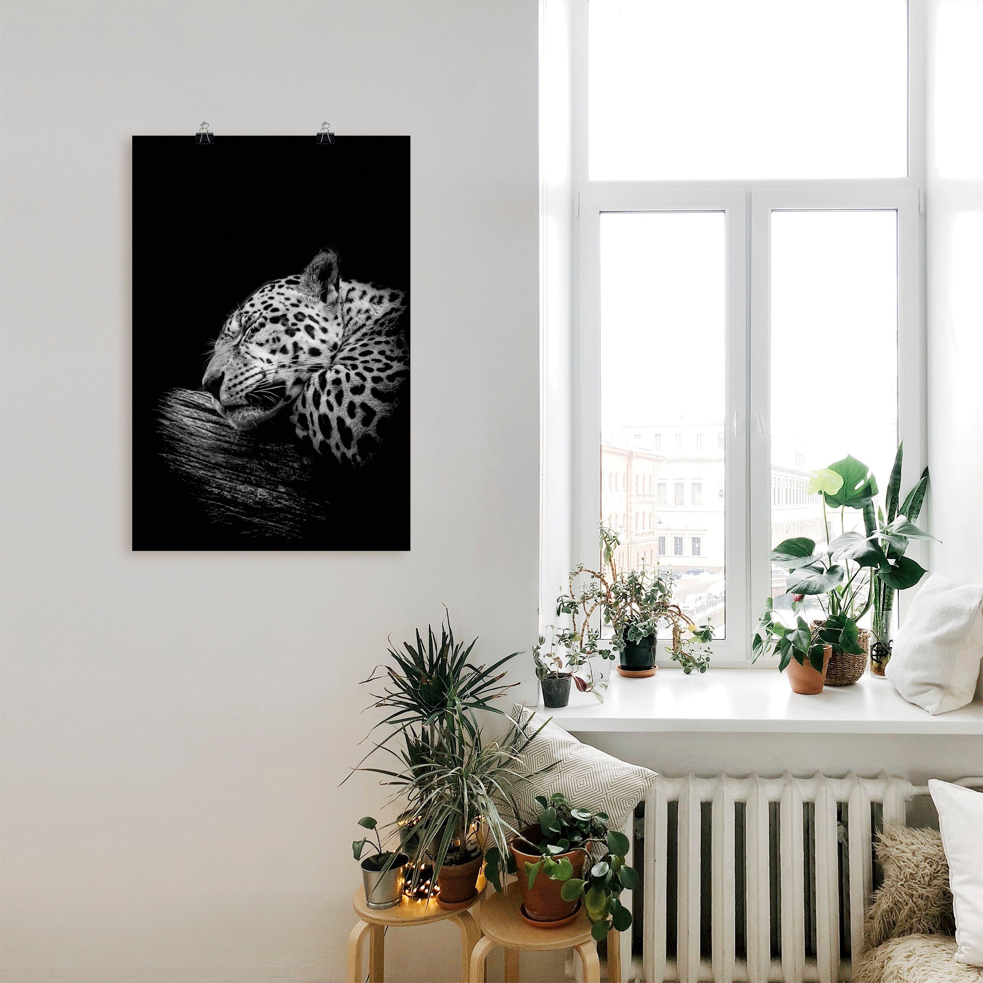 Artland Wandbild »Der schlafende Jaguar«, Wildtiere, (1 St.), als Alubild, Outdoorbild, Leinwandbild, Poster in verschied. Größen