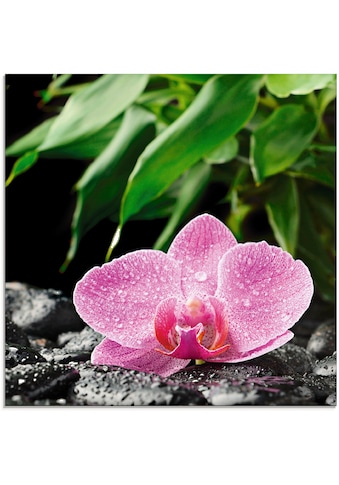 Glasbild »Rosa Orchidee auf schwarzen Zen Steinen«, Blumen, (1 St.)