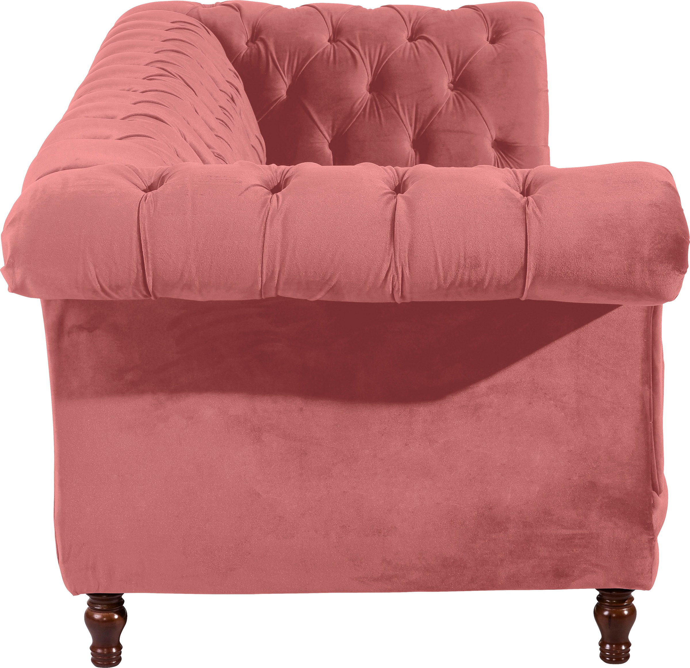 Max Winzer® Chesterfield-Sofa »Isabelle«, Knopfheftung & gedrechselten Füßen in Buche Nussbaum, Breite 260 cm