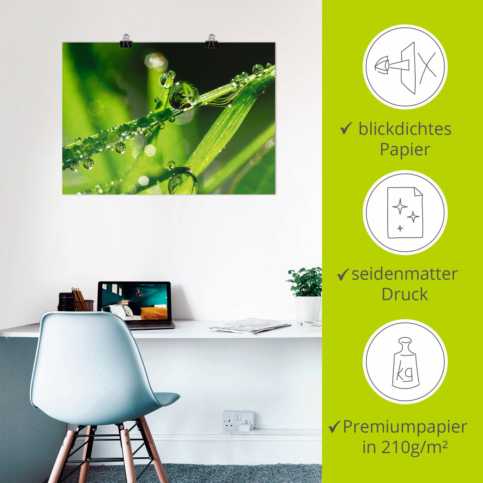 Artland Poster »Wassertropfen auf Gras«, Gräser, (1 St.), als Leinwandbild, Wandaufkleber oder Poster in versch. Größen