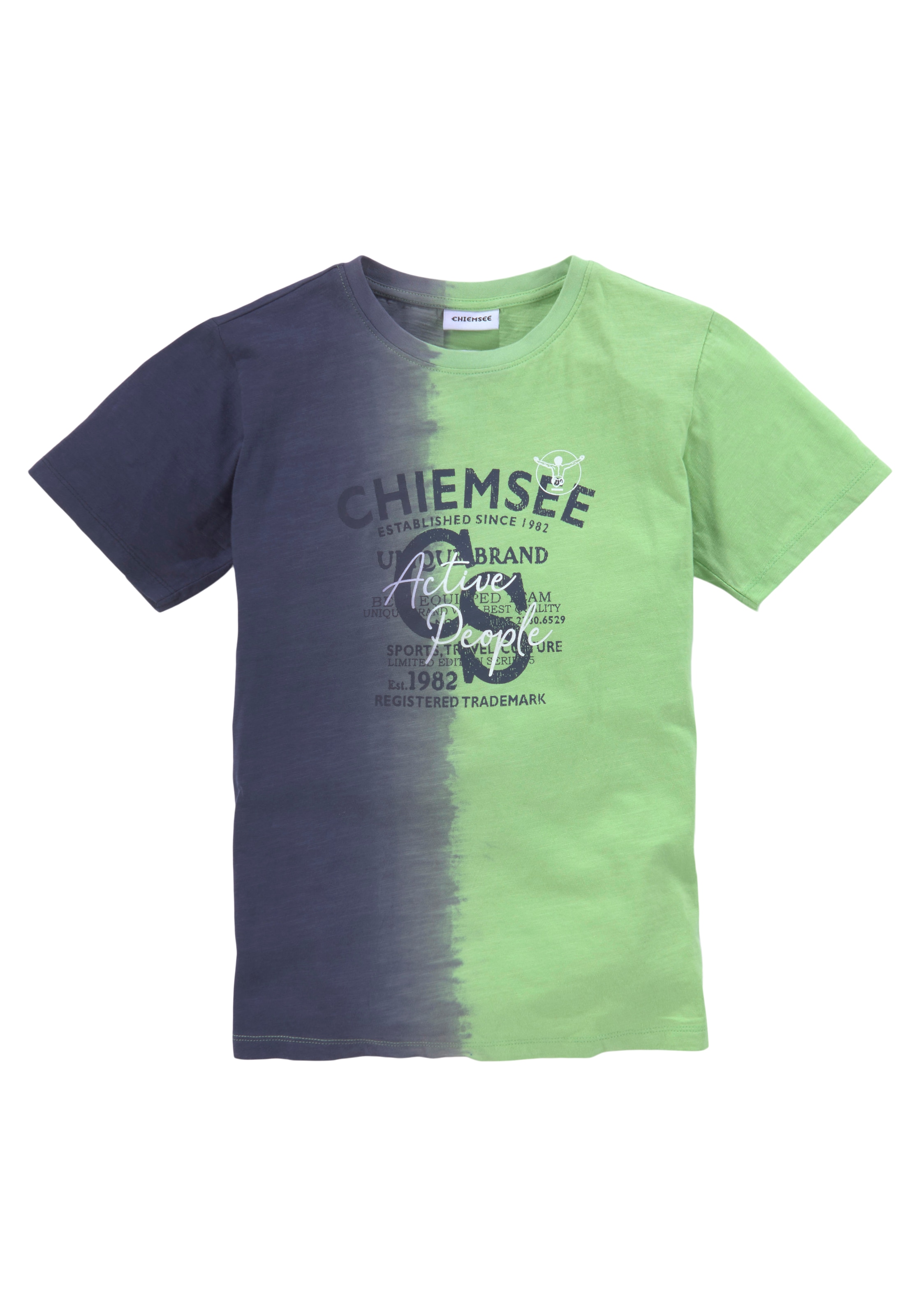 bestellen vertikalem OTTO mit T-Shirt »Farbverlauf«, Farbverlauf Chiemsee bei