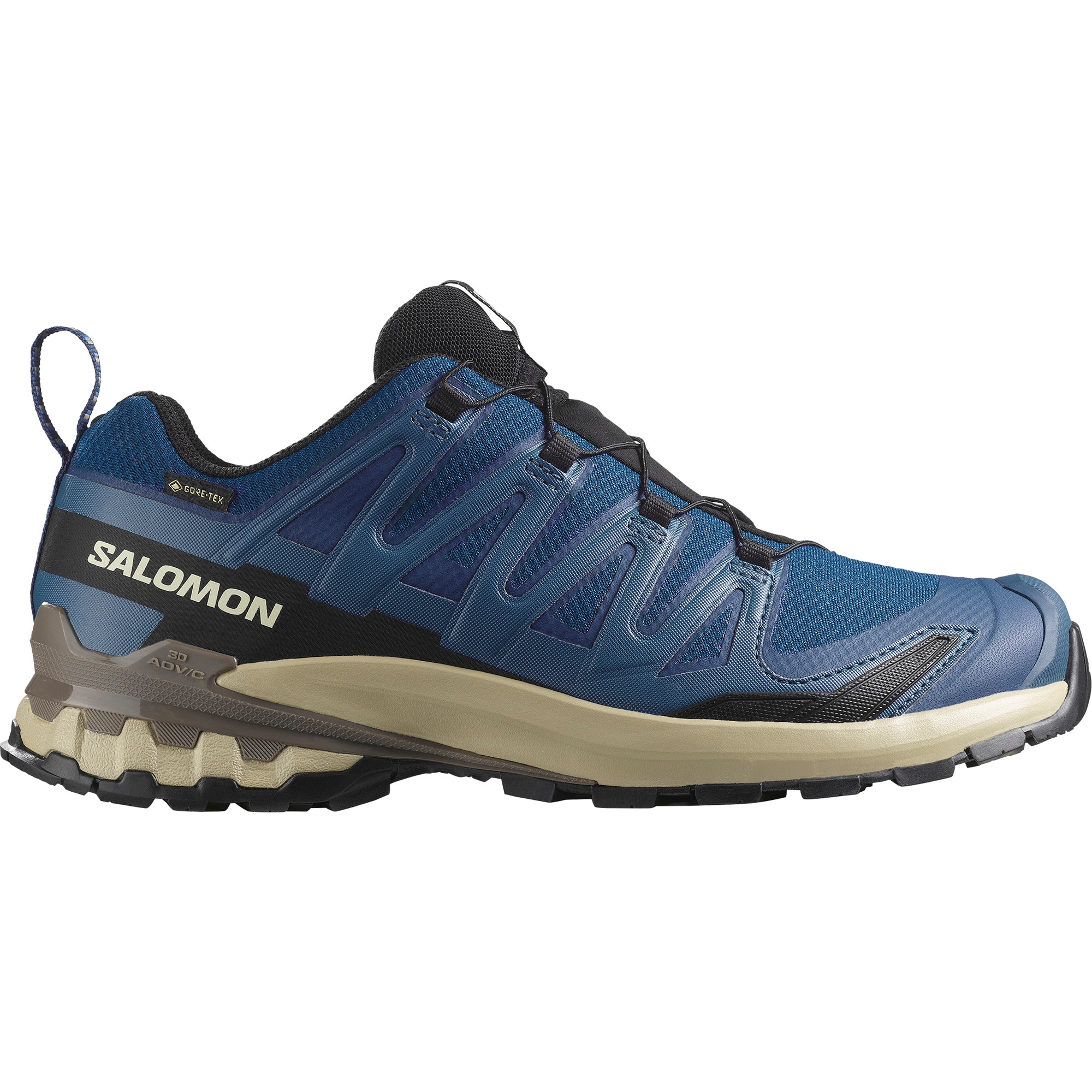 Salomon Trailrunningschuh »XA PRO 3D V9 GORE-TEX«, wasserdicht