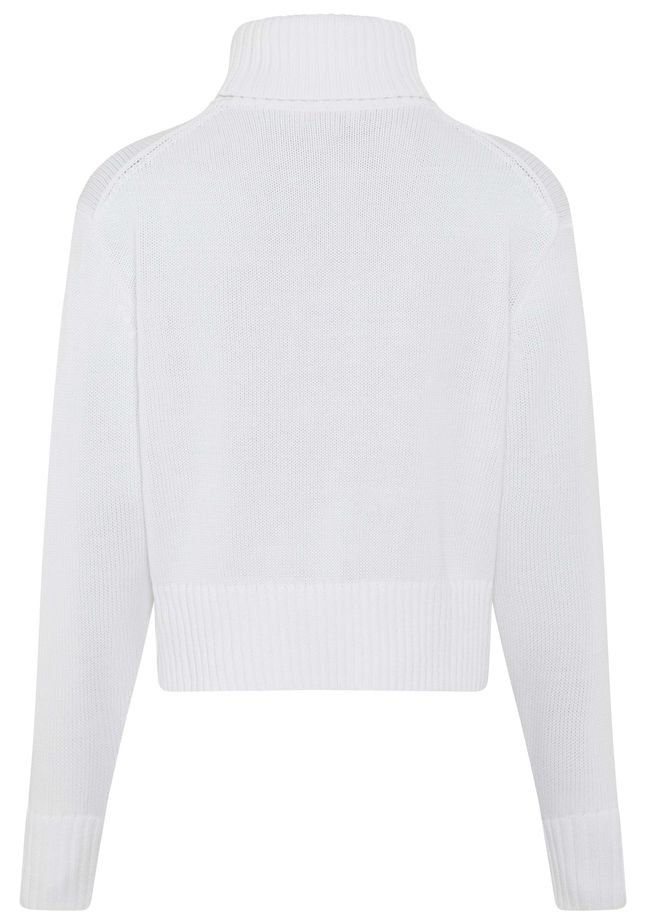 Calvin Klein Jeans Strickpullover, Rollkragen, Logo-Druck