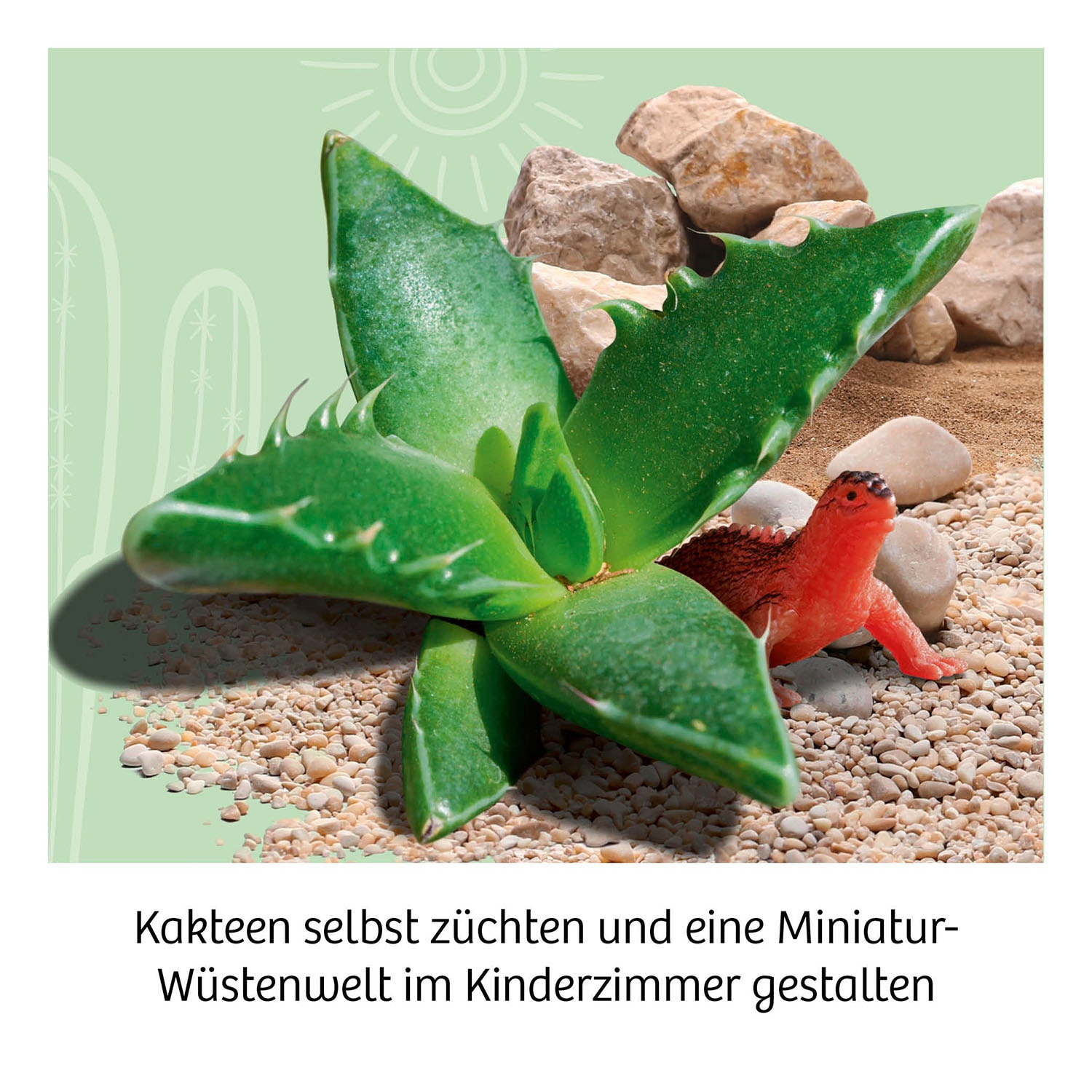 Kosmos Experimentierkasten »Kakteen-Wüste«, Made in Germany