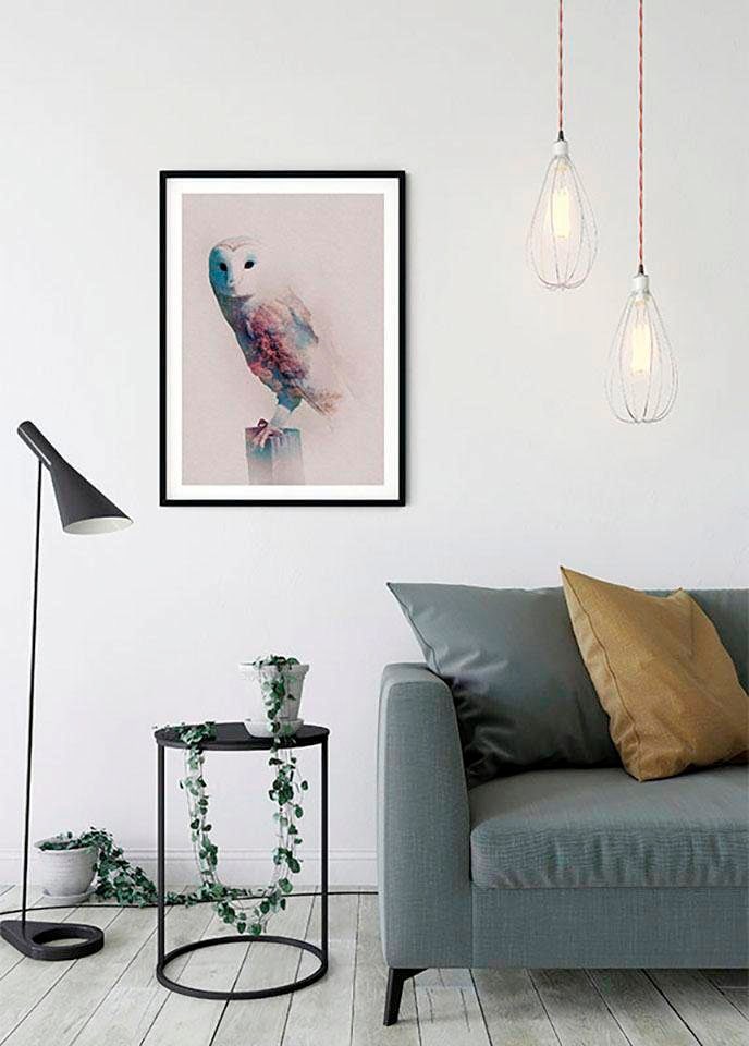 Komar Bild »Animals Forest Owl«, Tiere, (1 St.), Wandbild zur Dekoration - ohne Rahmen