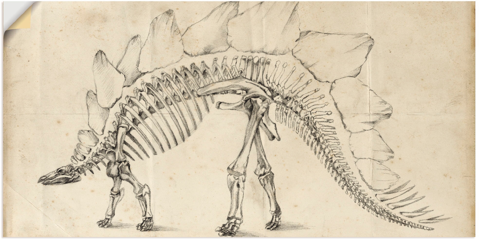 Artland Wandbild »Dinosaurier Lehre III«, Dinosaurier, (1 St.), als Alubild, Outdoorbild, Wandaufkleber in verschied. Größen