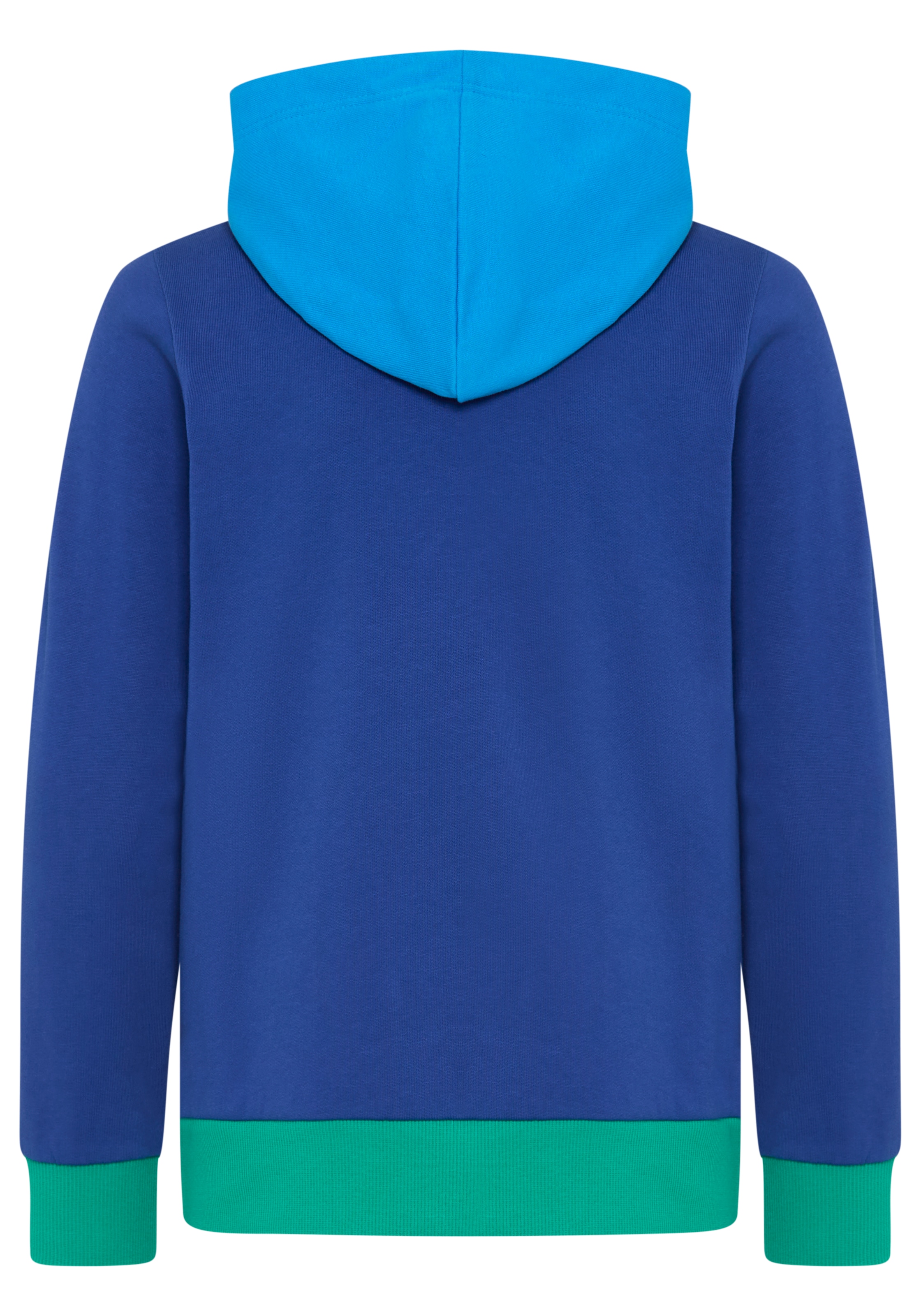 Scout Kapuzensweatshirt »Hoodie in colorblocking Design und Print - NEU von SCOUT«, Colorblocking-Sweatshirt mit Kapuze und großem Druck, Basic-Passform
