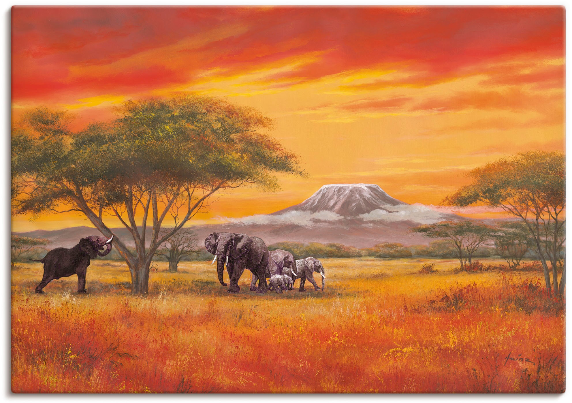 Artland Wandbild (1 Alubild, Bilder, bei kaufen Wandaufkleber St.), als Größen OTTO Leinwandbild, in Poster »Elefanten«, Elefanten versch. oder