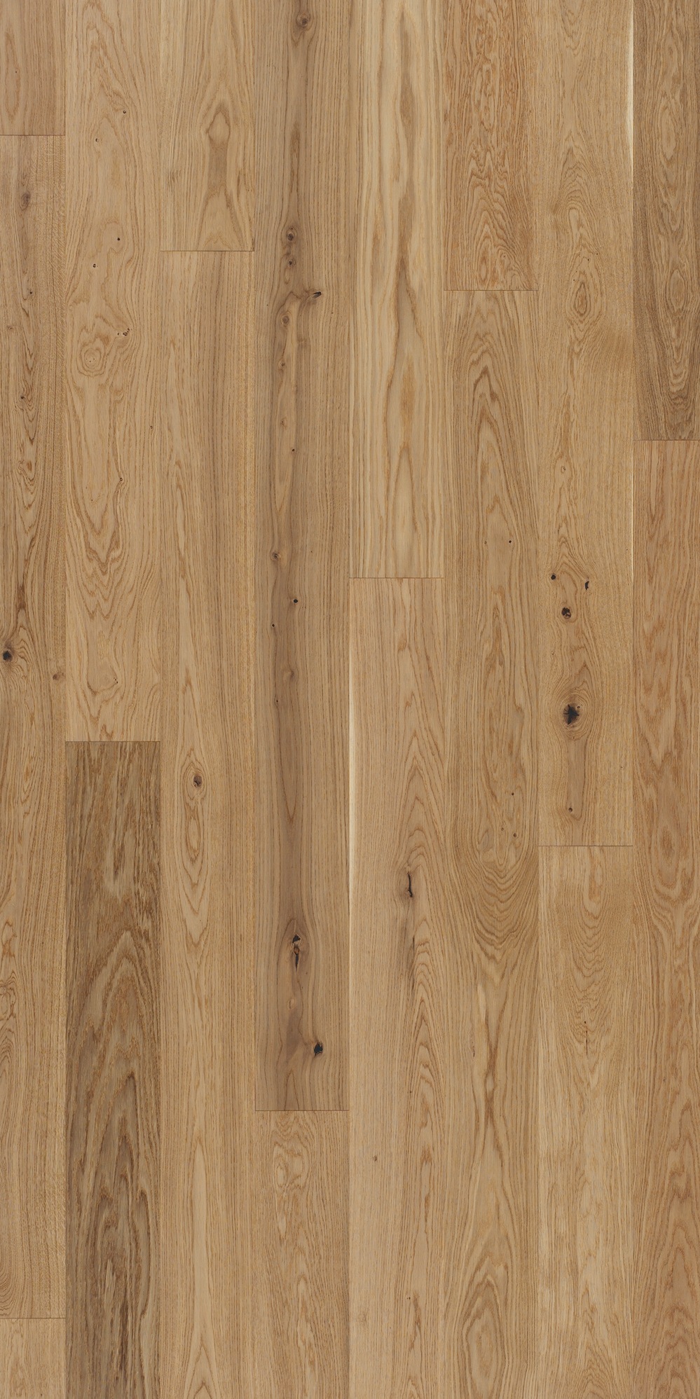 PARADOR Parkett »Trendtime 4 Living - Eiche cream, lackiert«, (Packung), Klicksystem, 2010 x 160 mm, Stärke: 13 mm, 2,89 m²