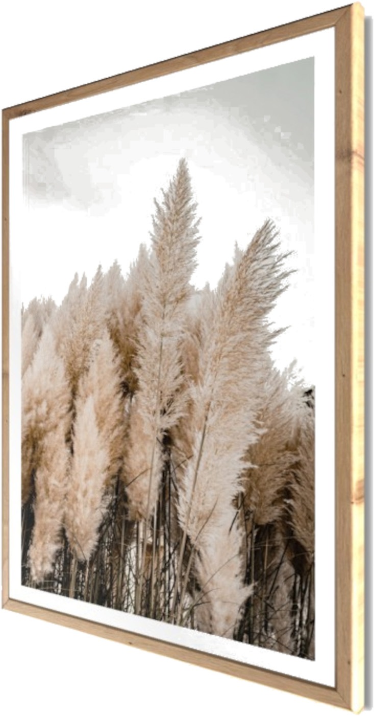 Bönninghoff Bild mit Rahmen »Wandbild gerahmt PAMPASGRAS 50x70 cm – Natürliches Gräsermotiv in« Gräser | Natur | Pflanzen | Pflanzenbilder 1 Stk. tlg. mit dekorativem Rahmen