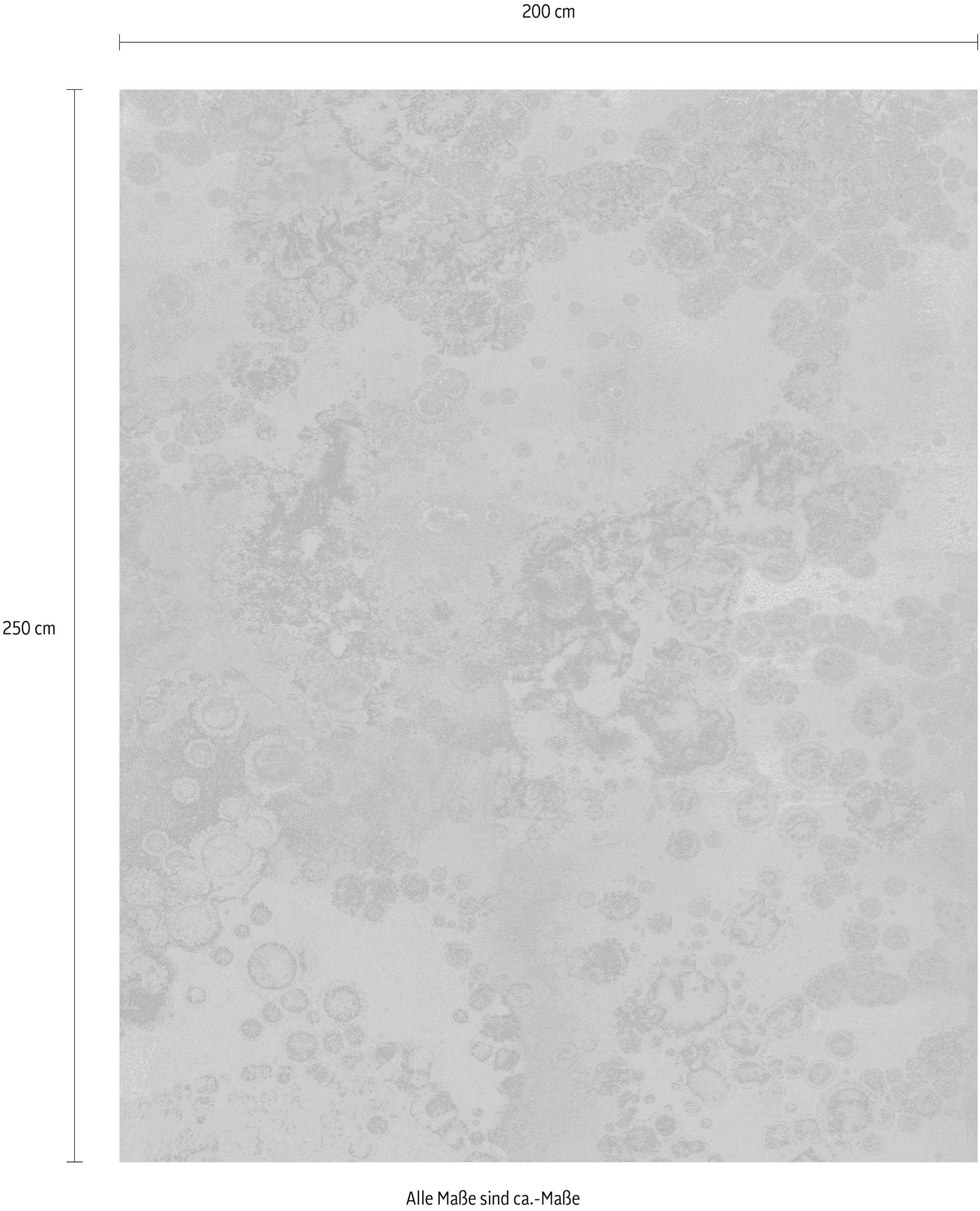 Komar Vliestapete »Digitaldruck Vlies -  Patina - Größe 200 x 250 cm« bedruckt glatt Wohnzimmer, Schlafzimmer