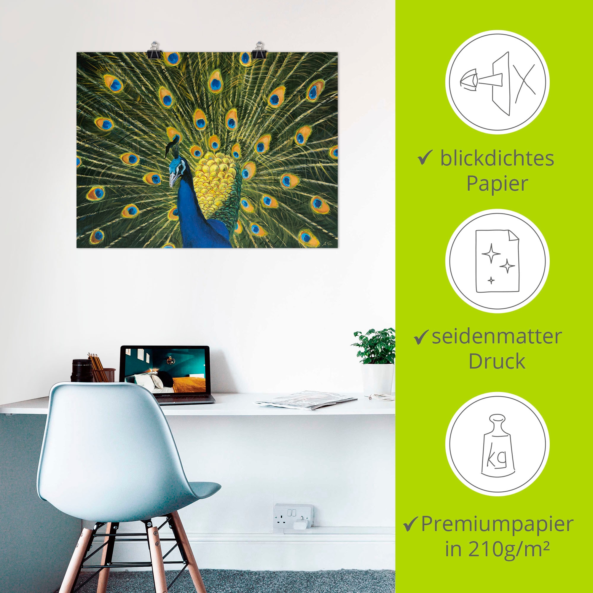 Artland Wandbild »Pfau«, Vögel, (1 St.), als Alubild, Outdoorbild, Leinwandbild, Poster, Wandaufkleber