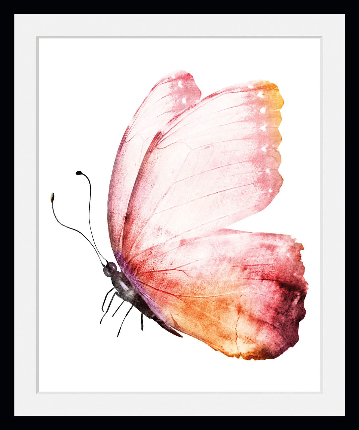 queence Bild »Cooper«, Schmetterlinge, (1 St.)
