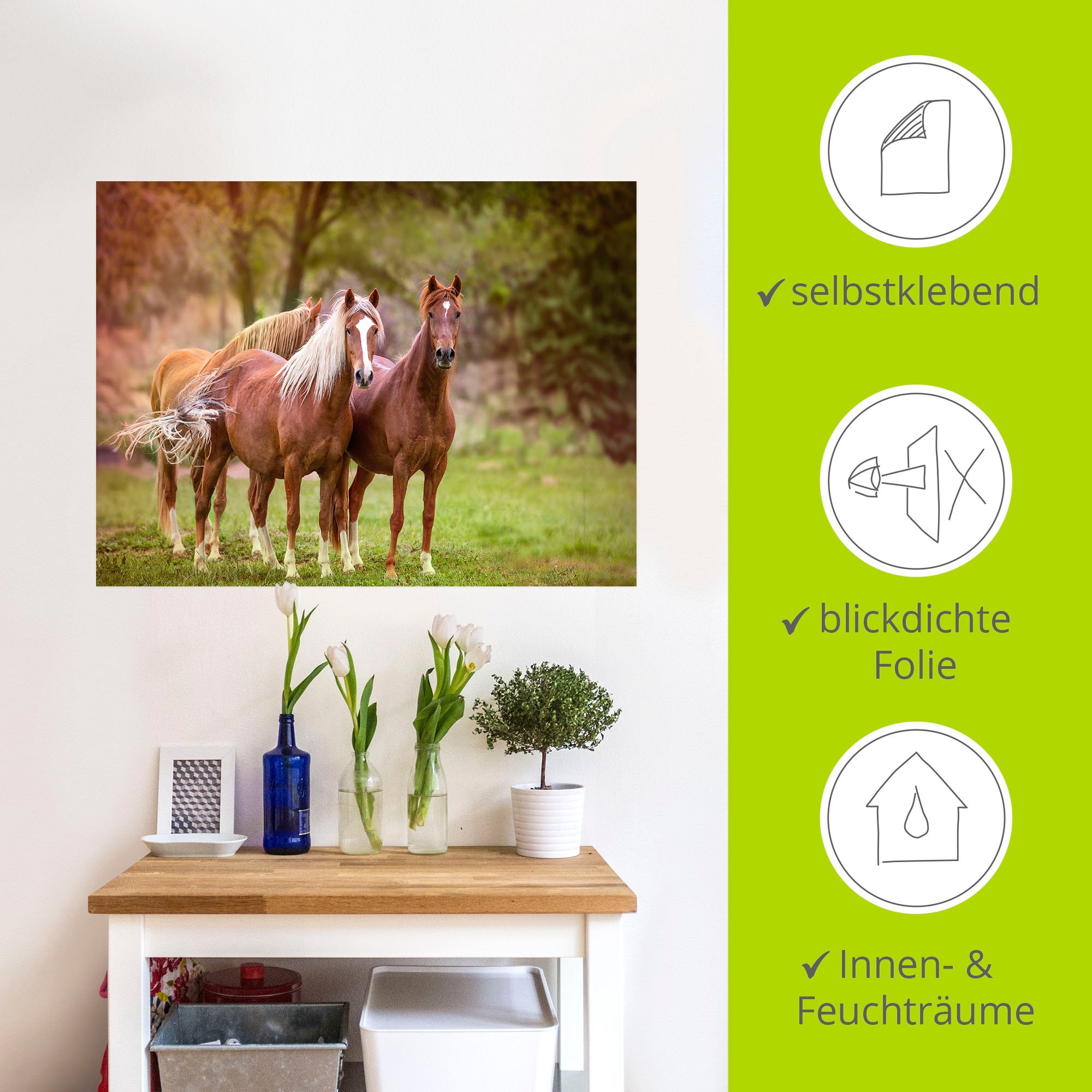 Artland Wandbild »Pferde in den Feldern I«, Haustiere, (1 St.), als Leinwandbild, Poster, Wandaufkleber in verschied. Größen