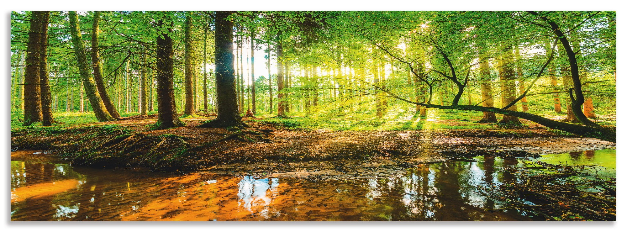 Artland Küchenrückwand »Wald mit Bach«