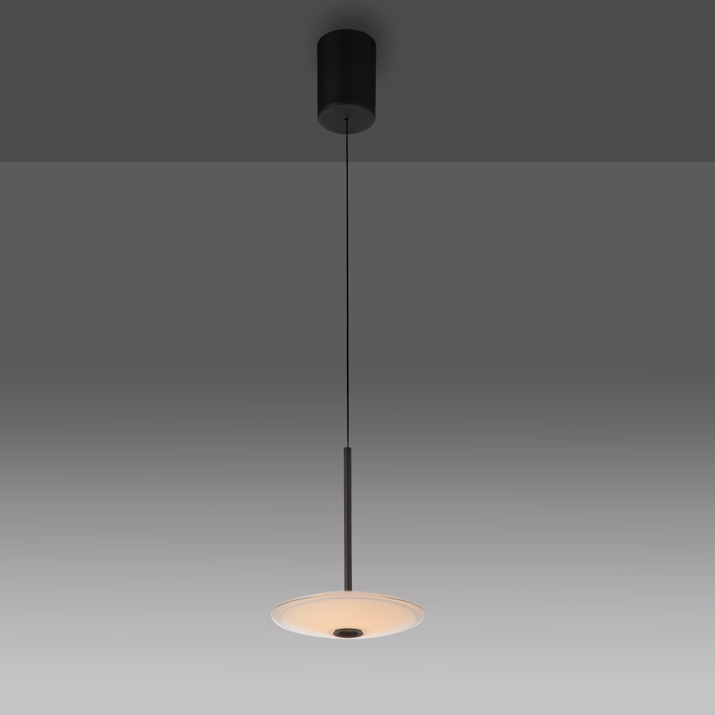 Paul Neuhaus LED Pendelleuchte »ELIPSA« LED-Board 1 Stk. Warmweiß Dimmfähig über separaten Tronicdimmer, Comfort-Lift