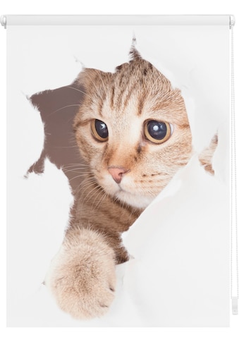 Seitenzugrollo »Klemmfix Digital Katze«, verdunkelnd, energiesparend, ohne Bohren,...