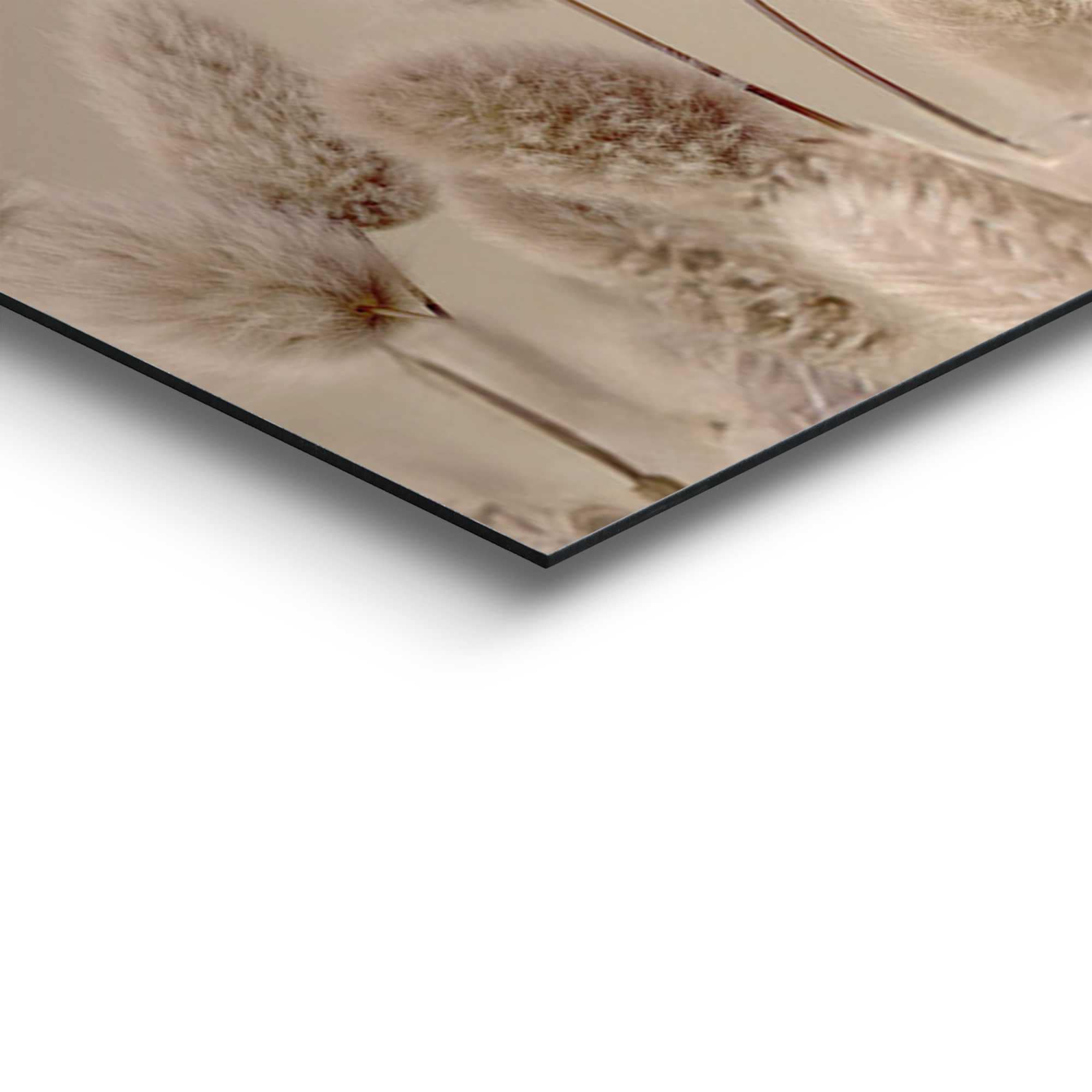 Reinders! Deco-Panel »Highlander in Blumen«