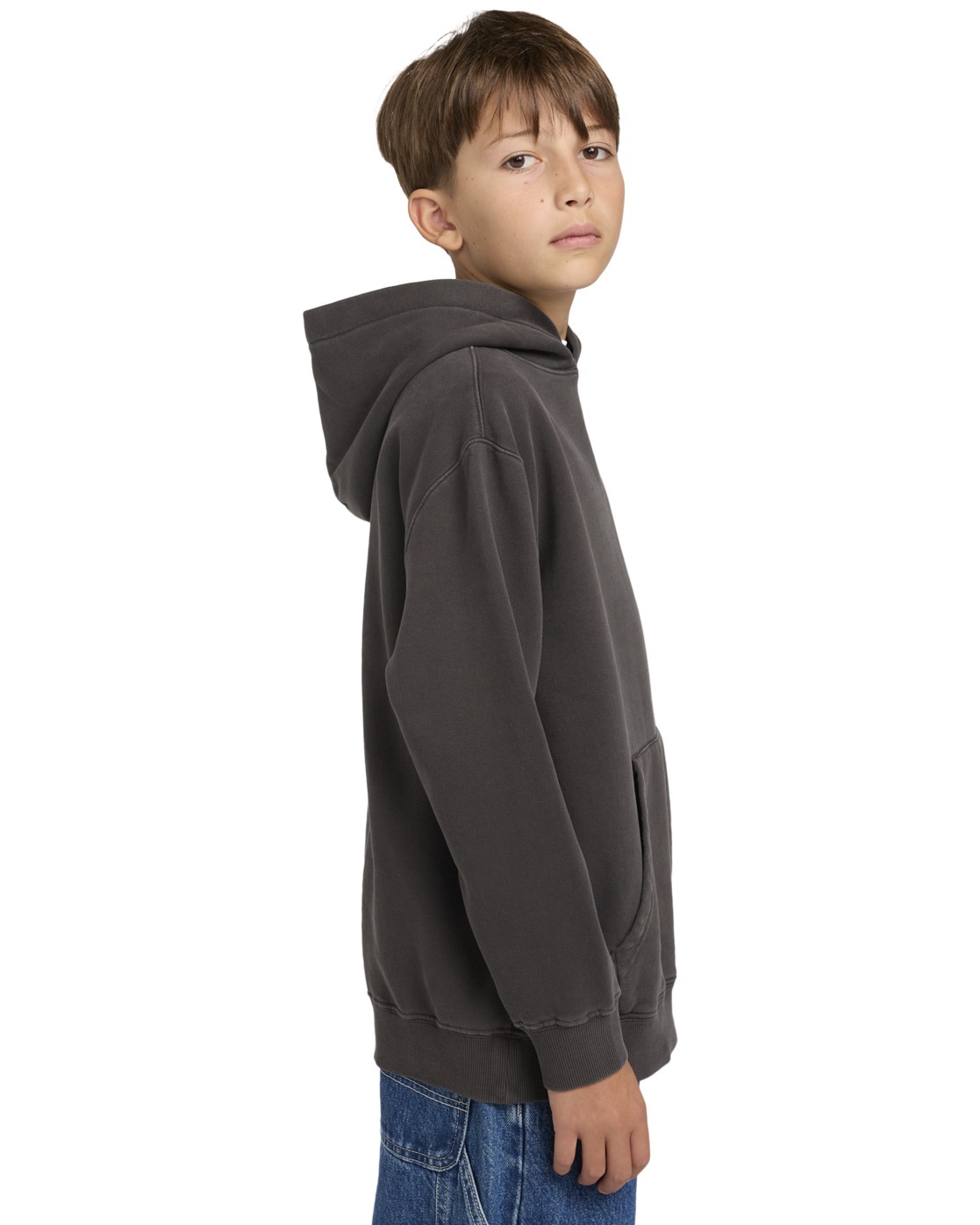Element Kapuzensweatshirt »Lowcase Pigment Po Y«