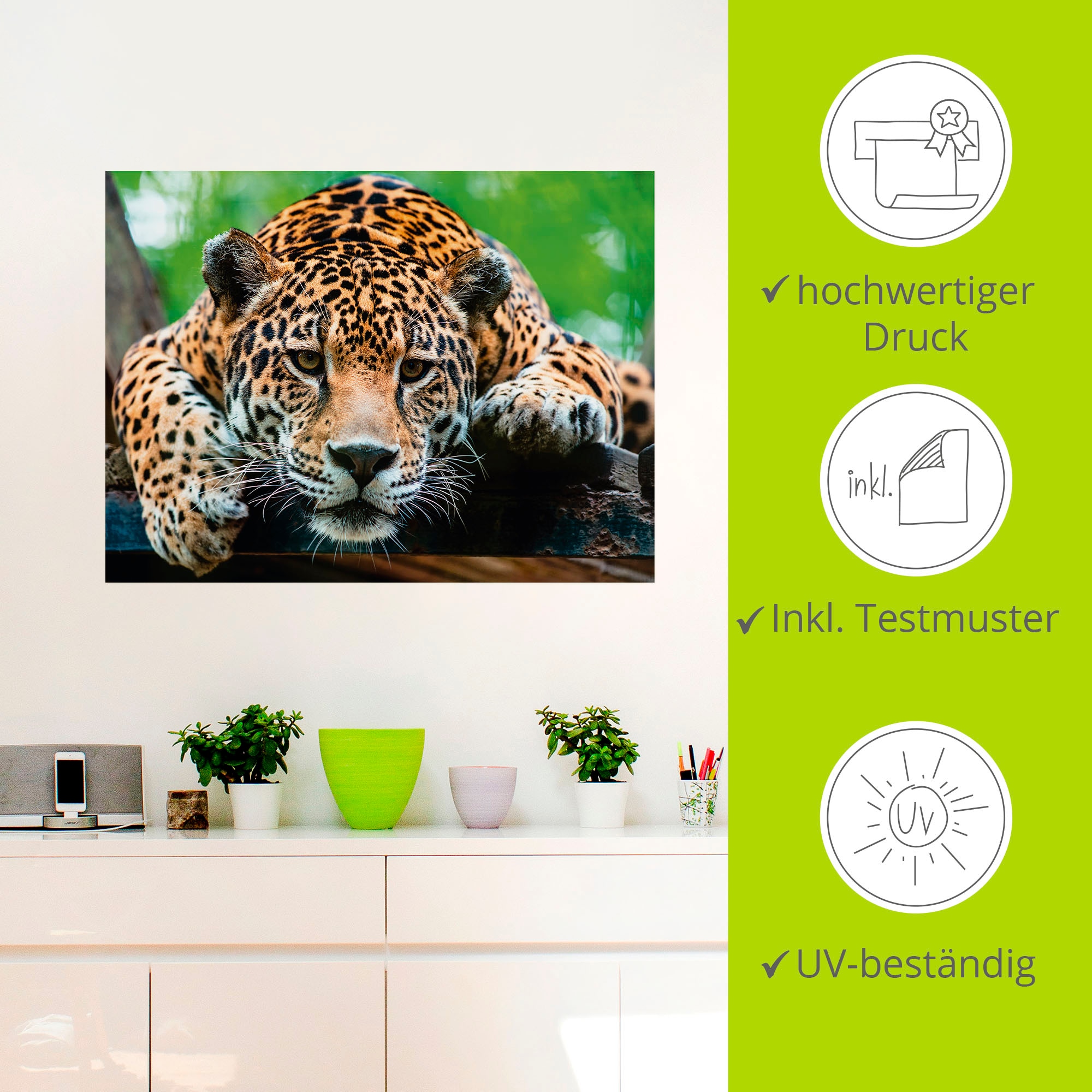 Artland Wandbild »Südamerikanischer Jaguar«, Wildtiere, (1 St.), als Alubild, Outdoorbild, Leinwandbild, Poster, Wandaufkleber