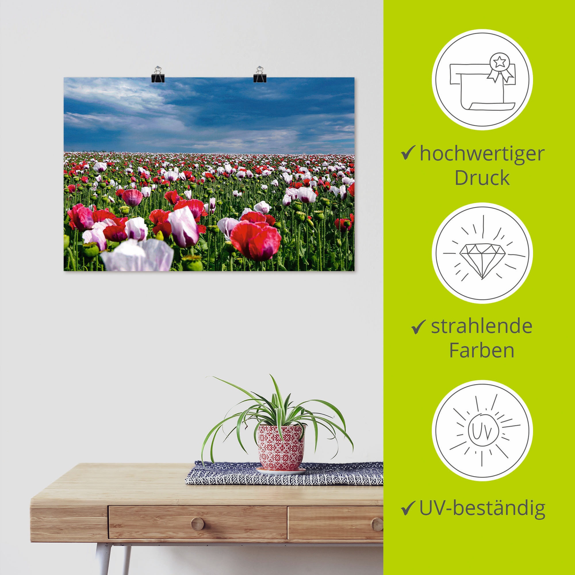 Artland Wandbild »Blühende Mohnblumen«, Blumenwiese, OTTO Wandaufkleber St.), als online in bei oder Poster versch. (1 Größen Alubild, Leinwandbild