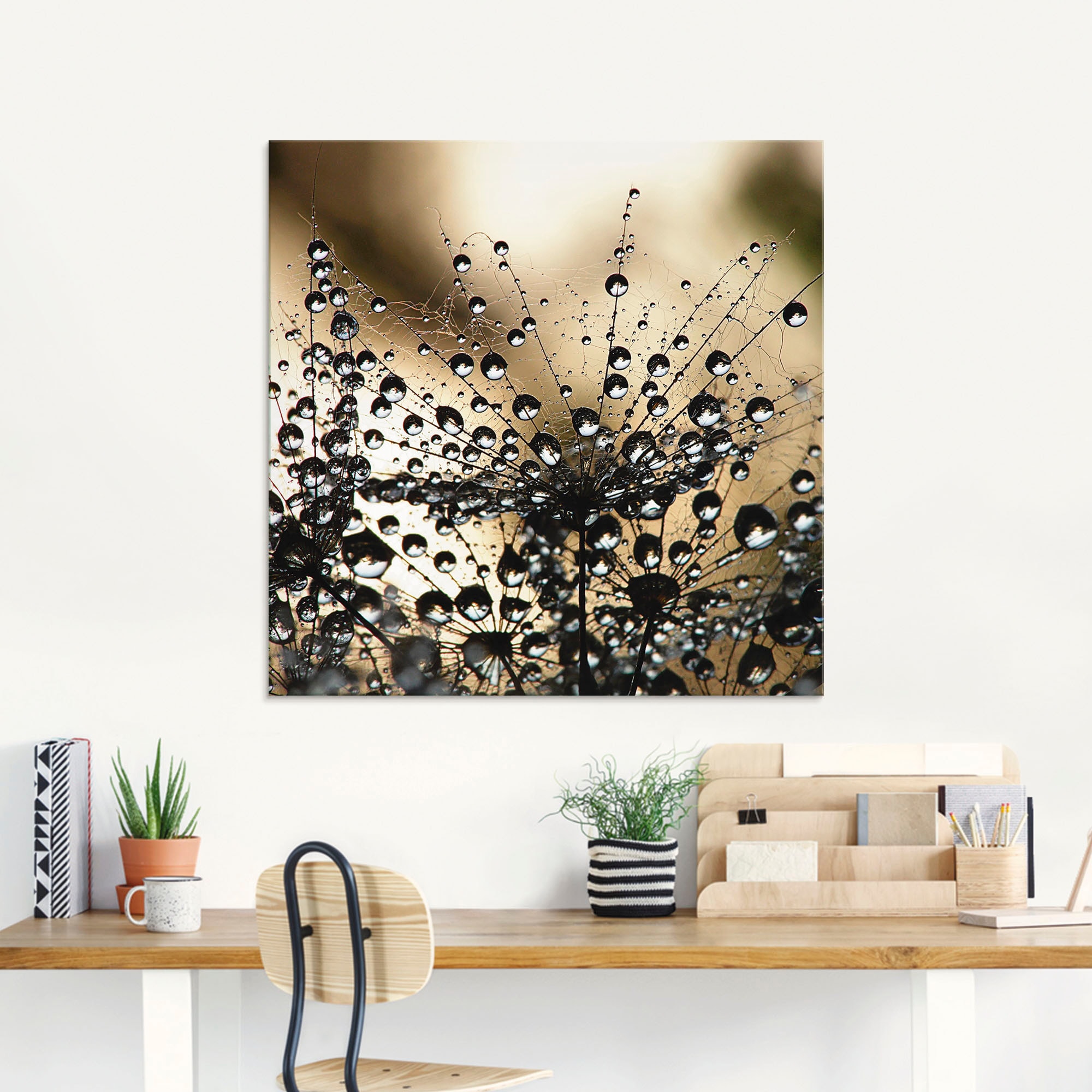 Artland Glasbild »Nasser Löwenzahn« Blumen 1 Stk. tlg. in verschiedenen Größen