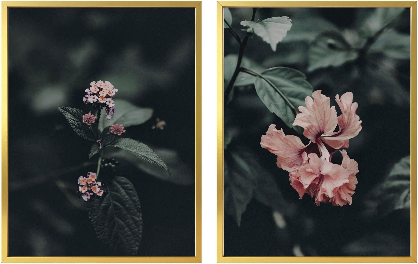 Wall-Art Poster »Rosa Blüten«, (Set), mit Rahmen, Poster, Wandbild, Bild, Wandposter