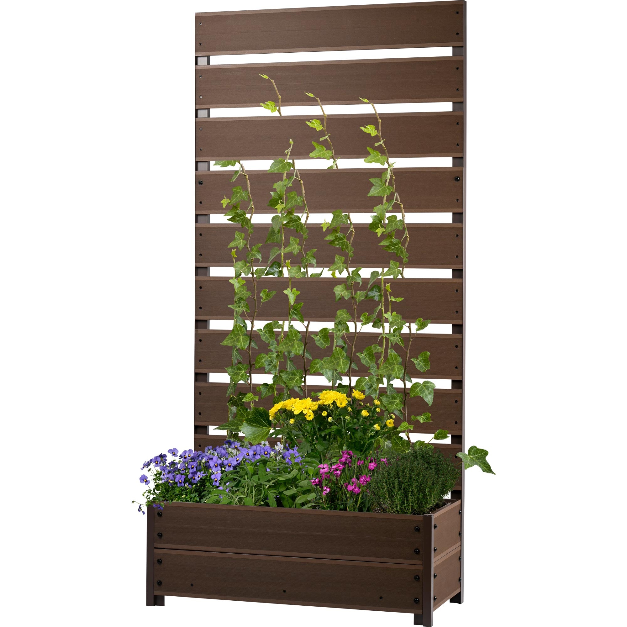 dobar Blumenkasten »WPC-Pflanzkübel mit Rankgitter, Dunkelbraun« ca. 72 x 33 x 150 cm (L x B x H) groß und ca. 13,7 kg