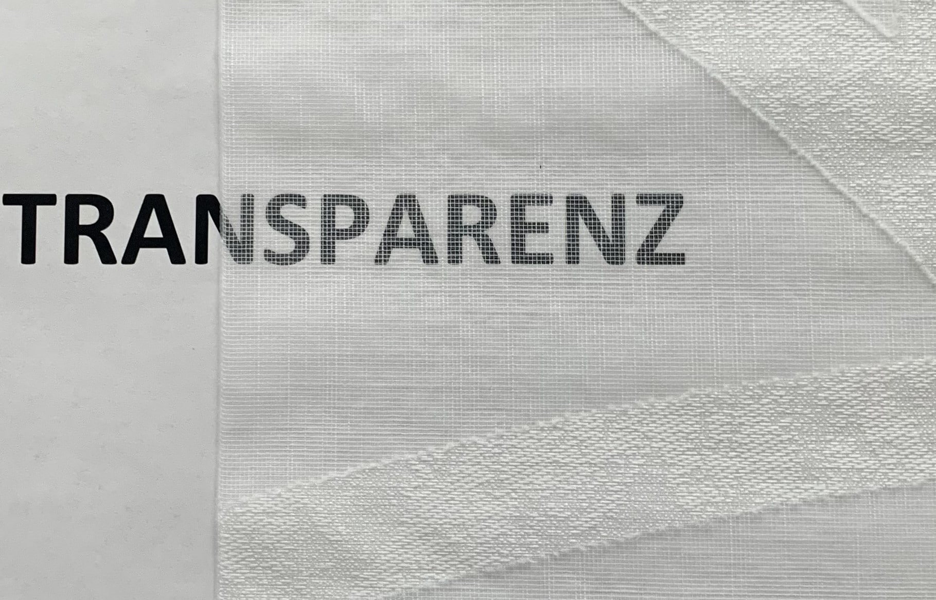 HOME WOHNIDEEN Schiebegardine »CASSÉ« Paneelwagen 1 Stk. tlg. Leinen-Voile, mit transparentem Scherli