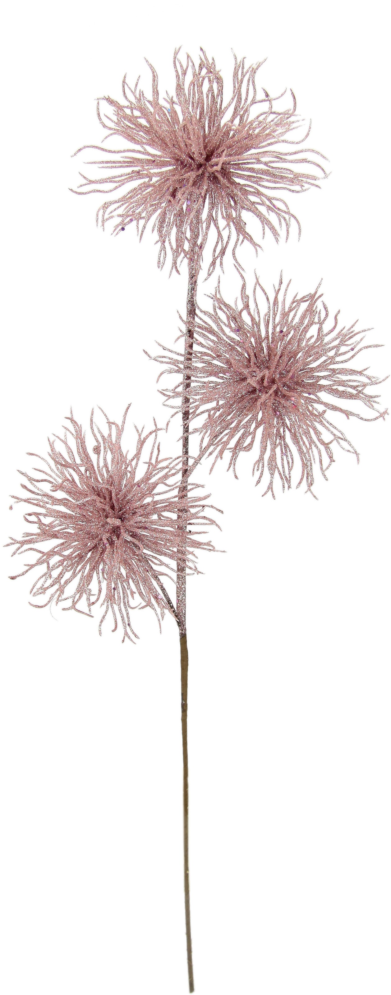 I.GE.A. Kunstblume »Protea«, Kunstzweig online bei OTTO