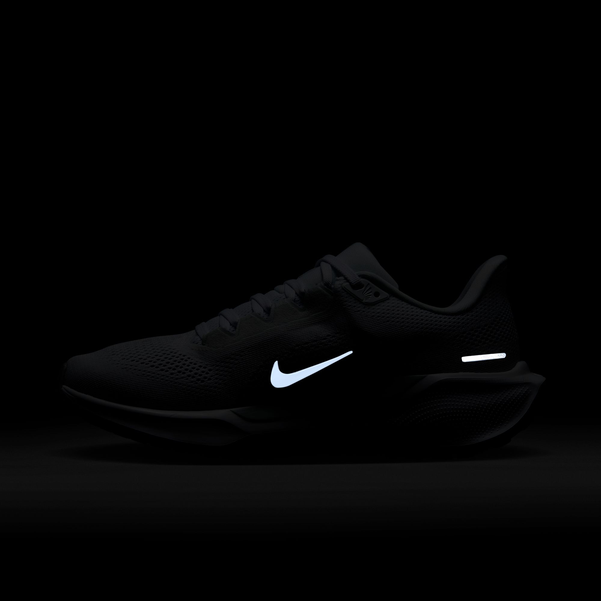 Nike Laufschuh »Nike Pegasus 41«