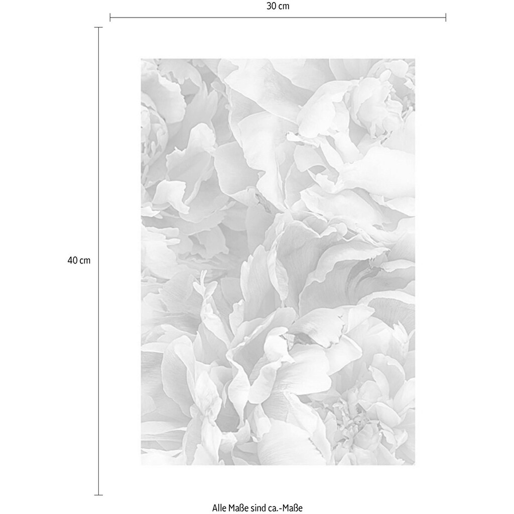 Komar Poster »Soave«, Blumen, Höhe: 40cm