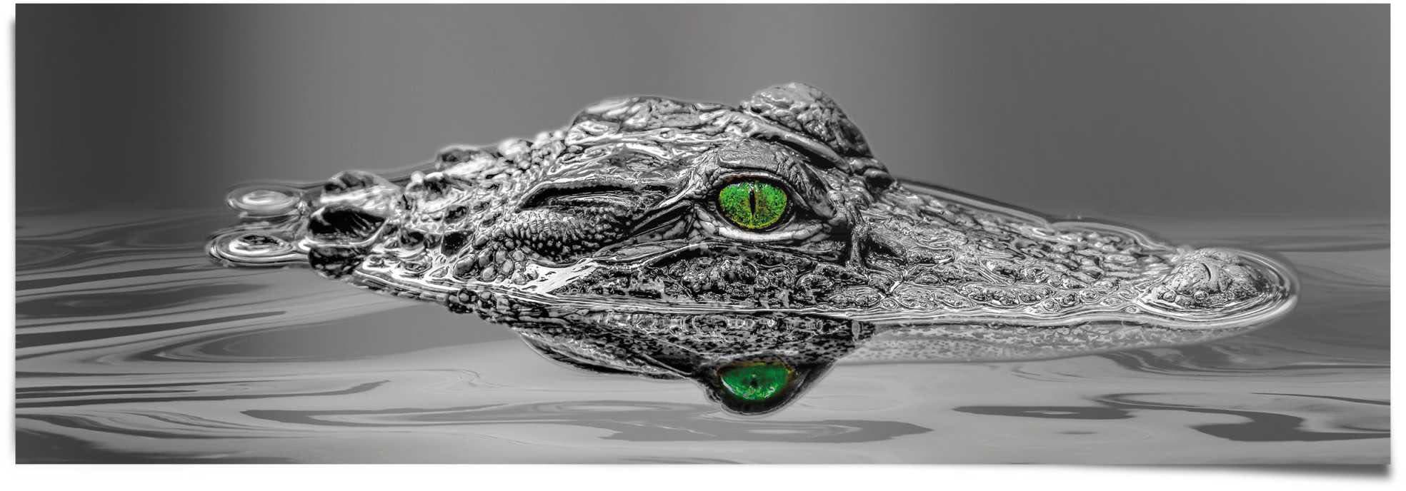 OTTO im Augen«, (1 St.) »Alligator Reinders! Shop Online Poster