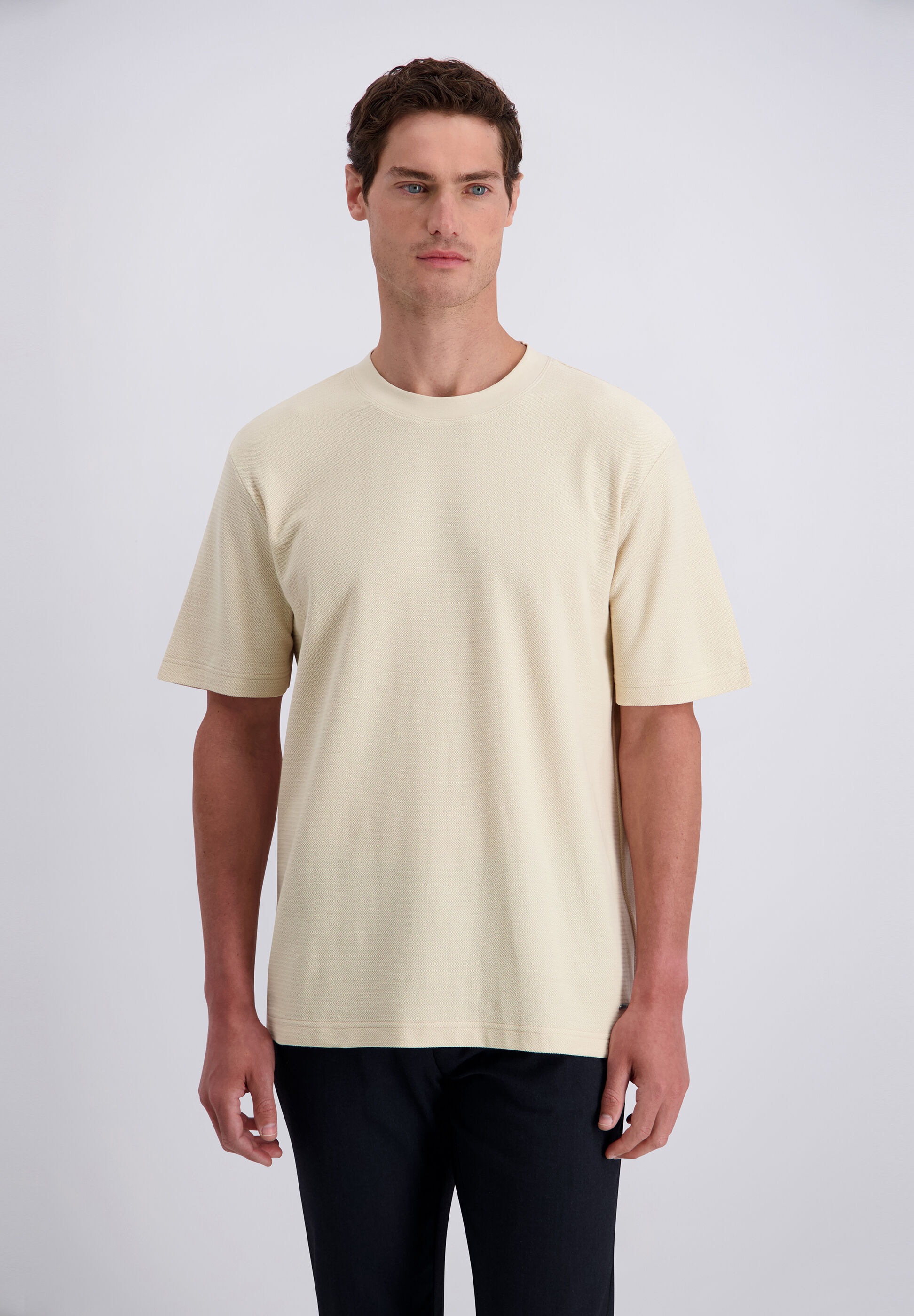 Pierre Cardin T-Shirt »Pierre Cardin T-Shirt«