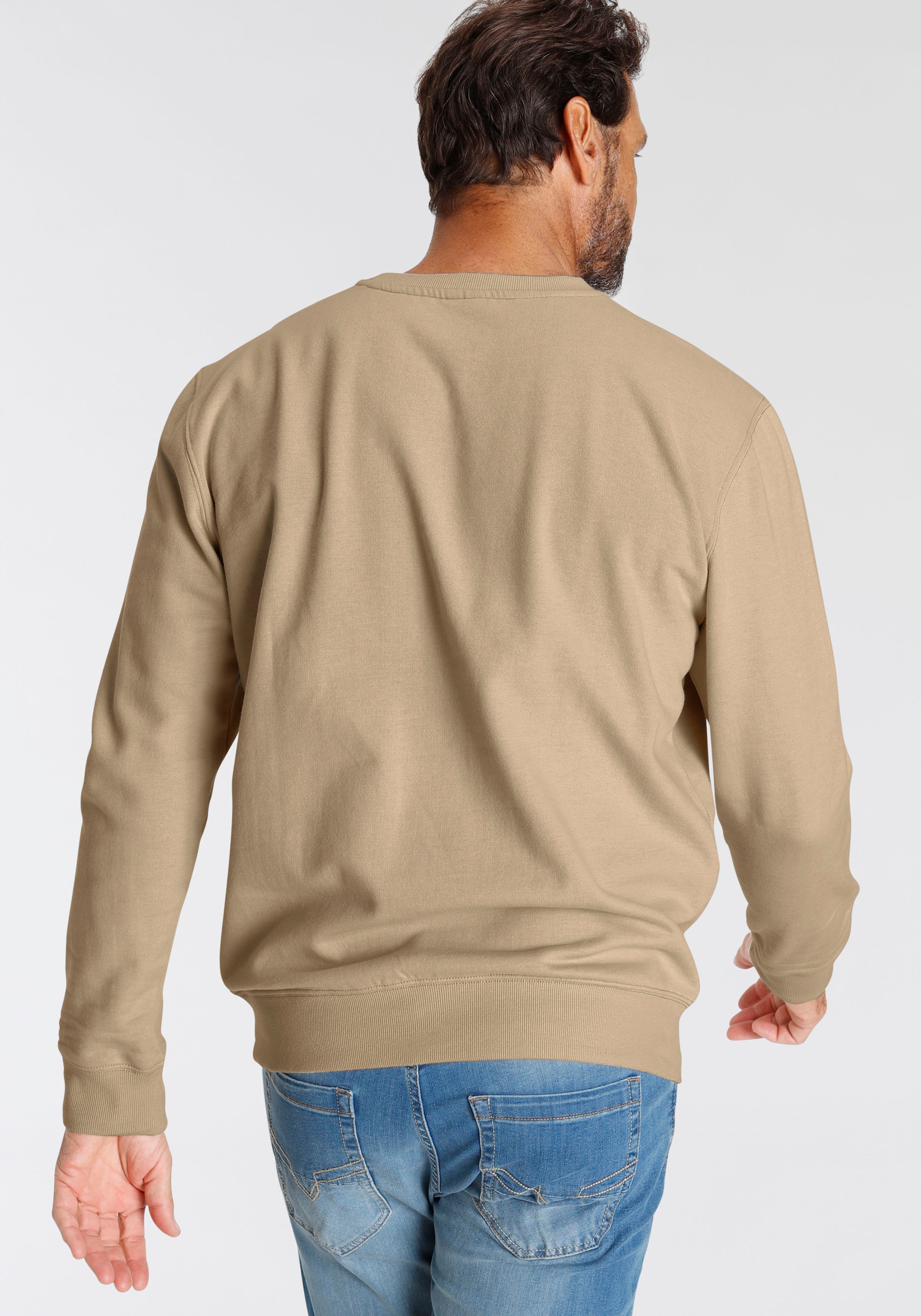 H.I.S Sweater, Langarm, lockere Passform, bestickte Optik, Rundhalsausschnitt