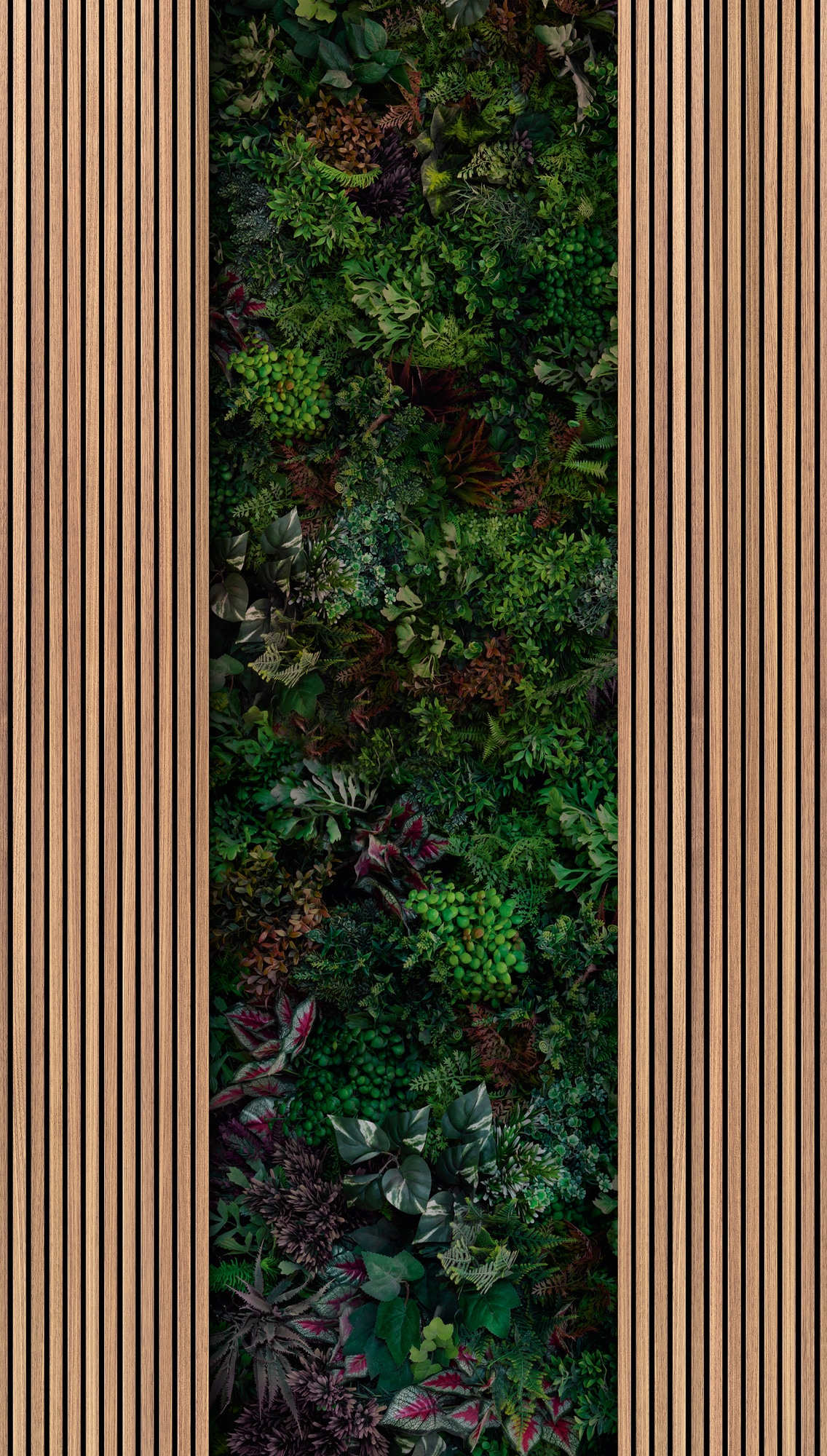 living walls Fototapete »THE WALL III Wandpaneel Optik Tapete Motivtapete Dschungel« matt glatt Vliestapete Pflanzen für Schlafzimmer Küche Wohnzimmer Wandpaneele