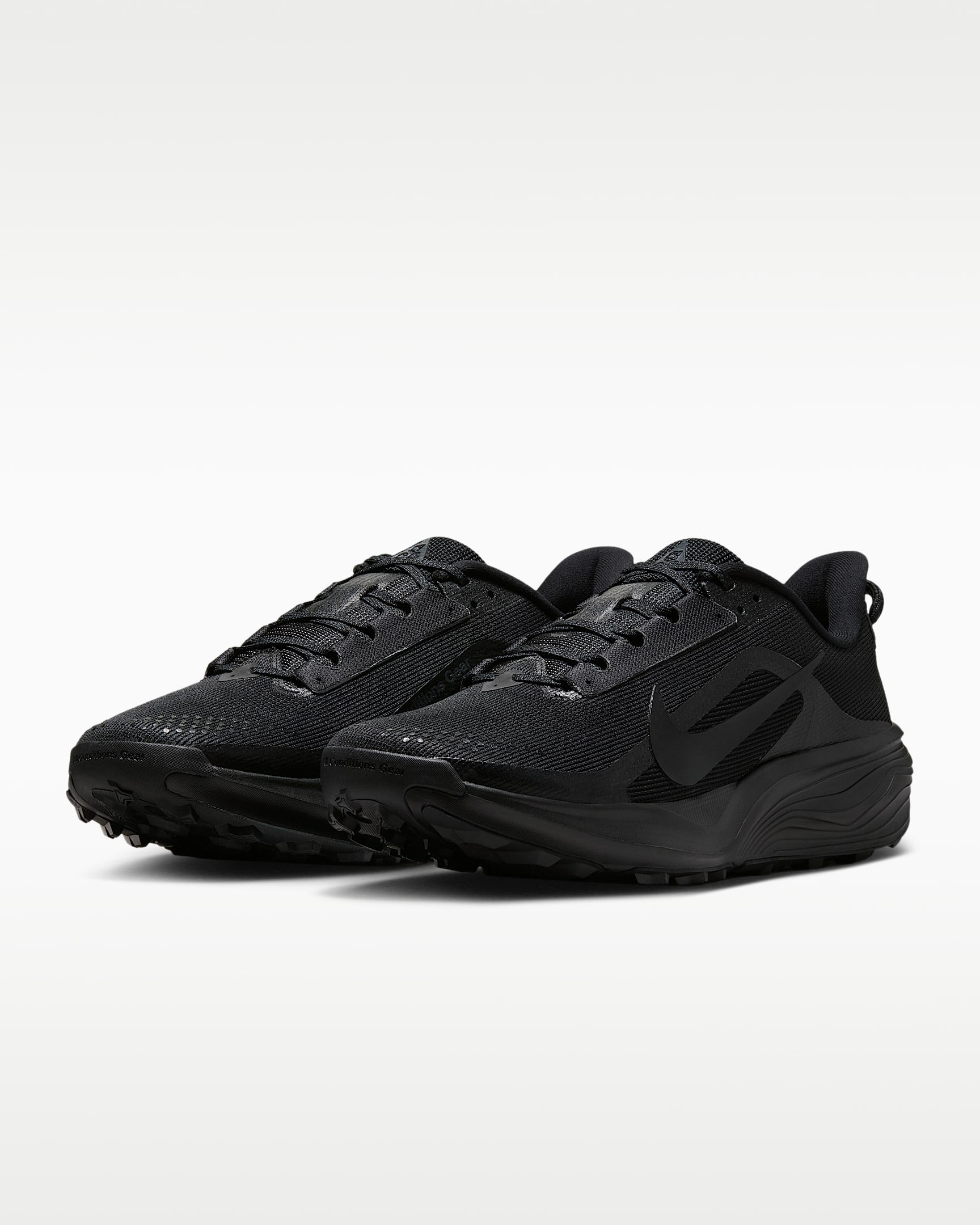 Nike Laufschuh »Pegasus Trail«