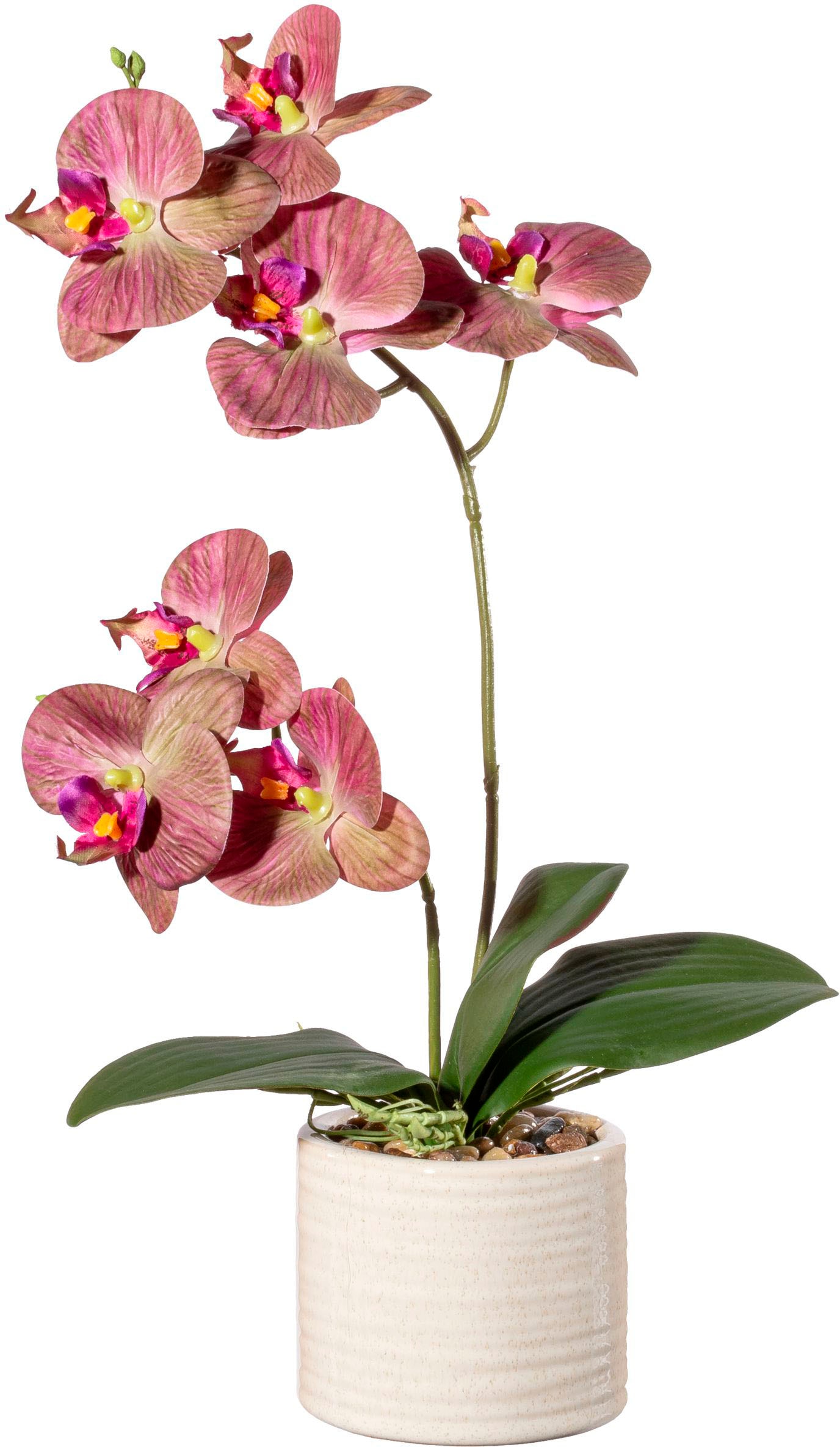Kunstorchidee »Orchidee Phalaenopsis in Keramiktopf«, mit Real-Touch-Blüten